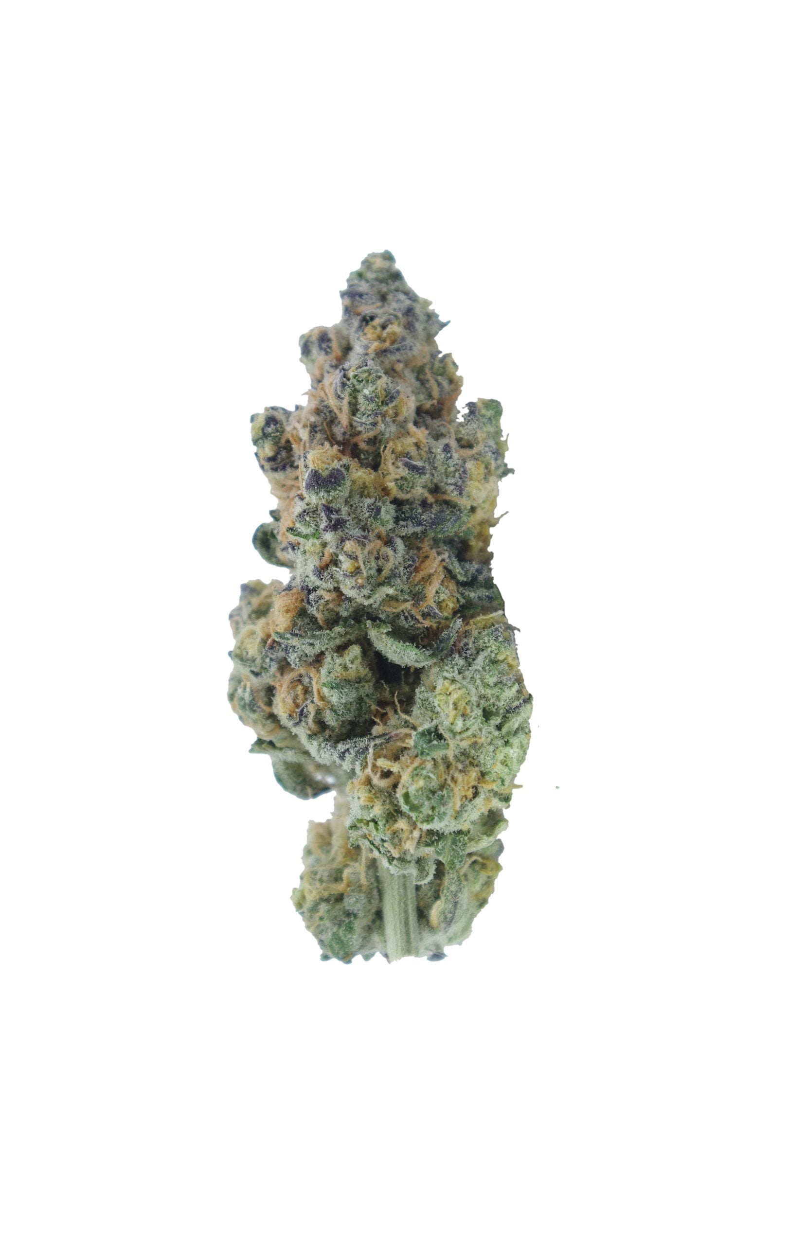 Purple Unicorn Oz Special Hybrid anti-anxiety Purple Unicorn Oz Special Hybrid anti-anxiety