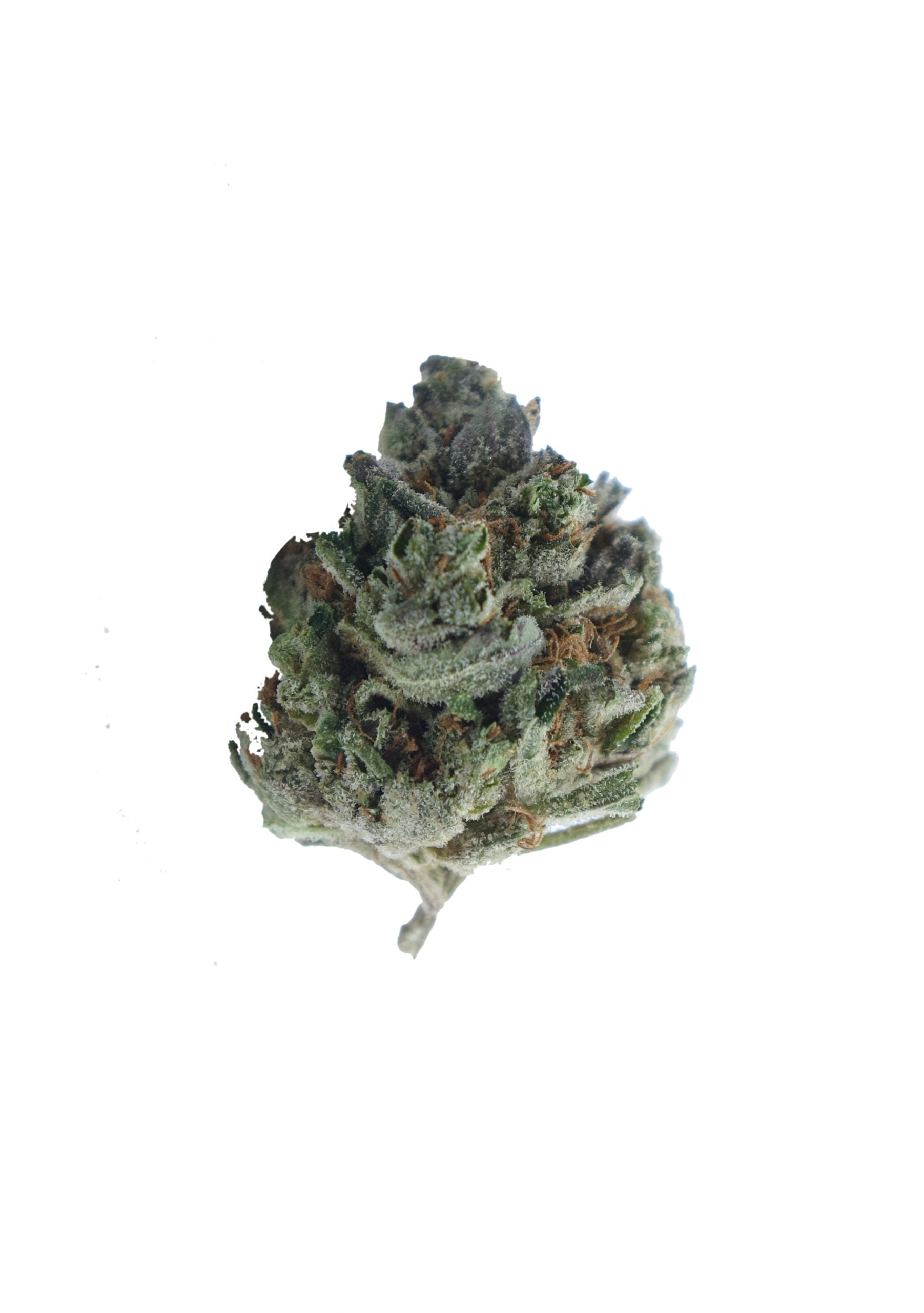 Purple Wookie Oz Special Indica Purple Wookie Oz Special Indica