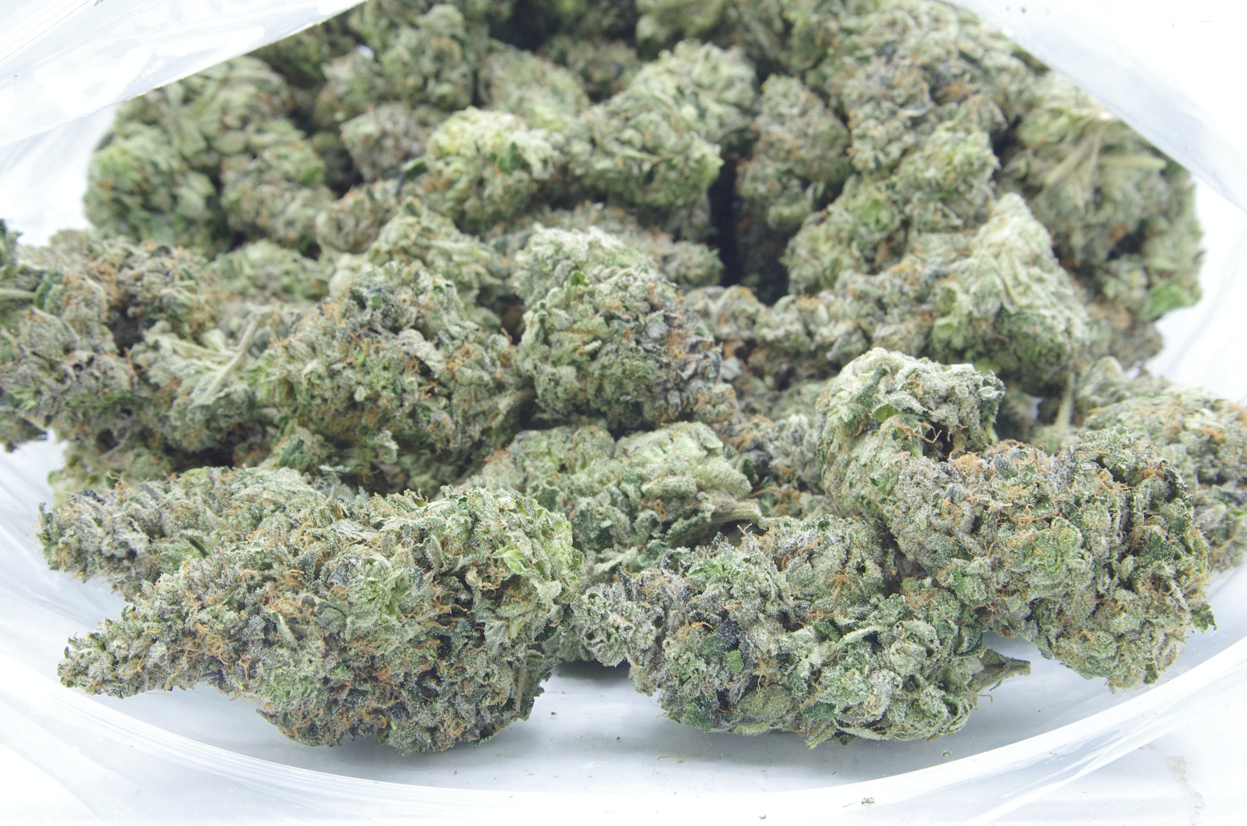 Quattro Pink Oz Special Indica Quattro Pink Oz Special Indica