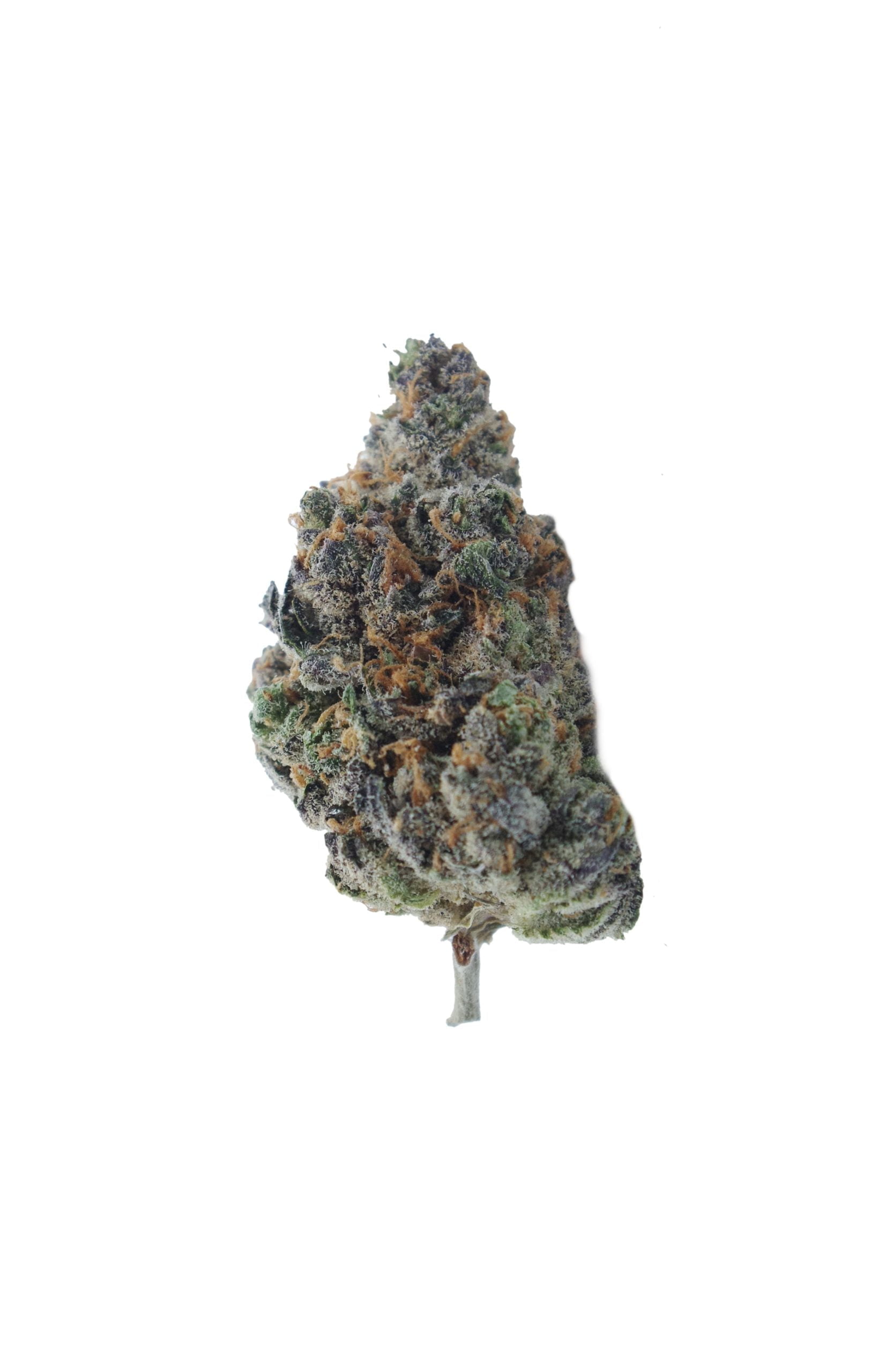 Rainbow Kush Oz Special Hybrid Berries Rainbow Kush Oz Special Hybrid Berries