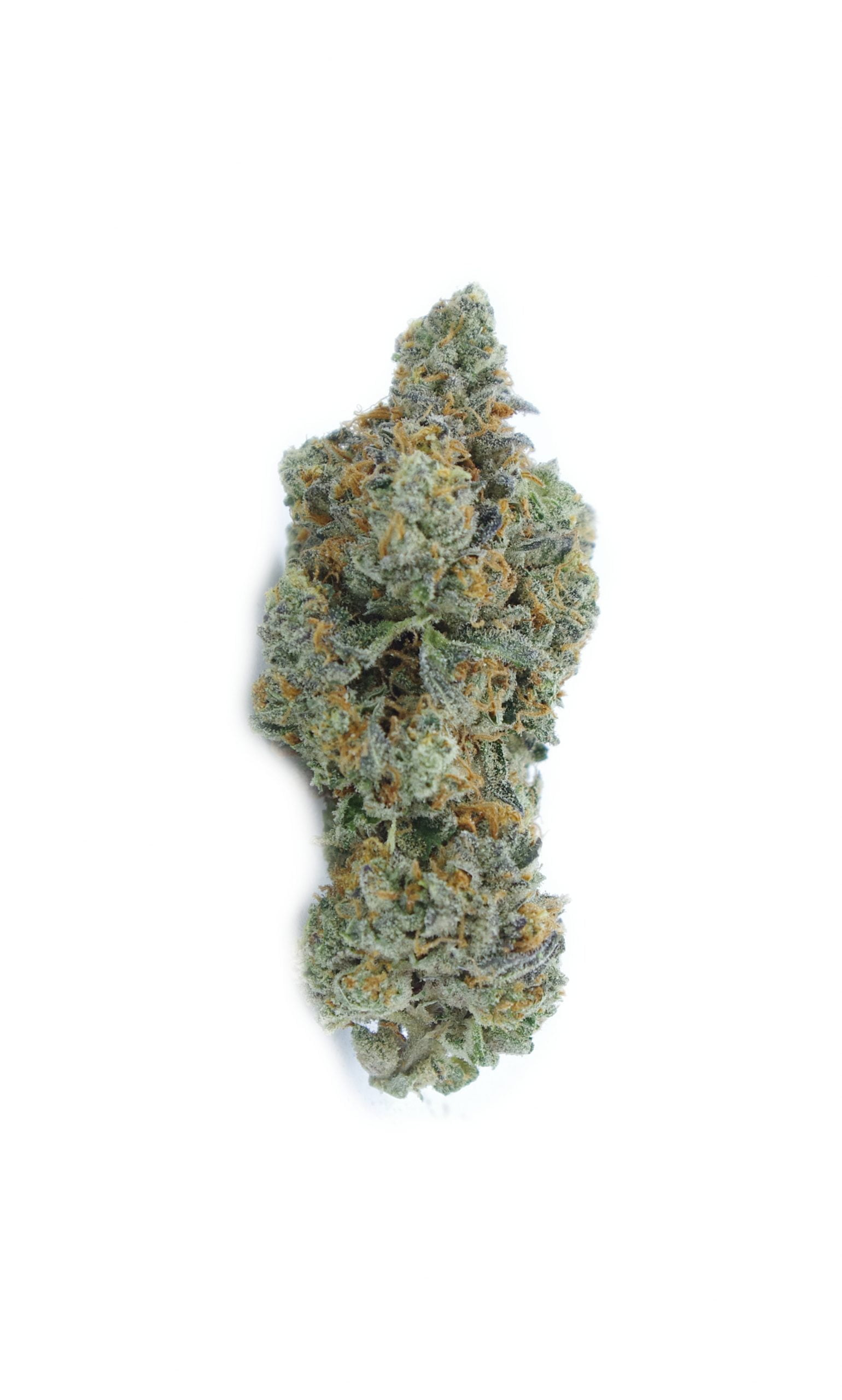 Rainbow Runtz Grams Hybrid Rainbow Runtz Grams Hybrid