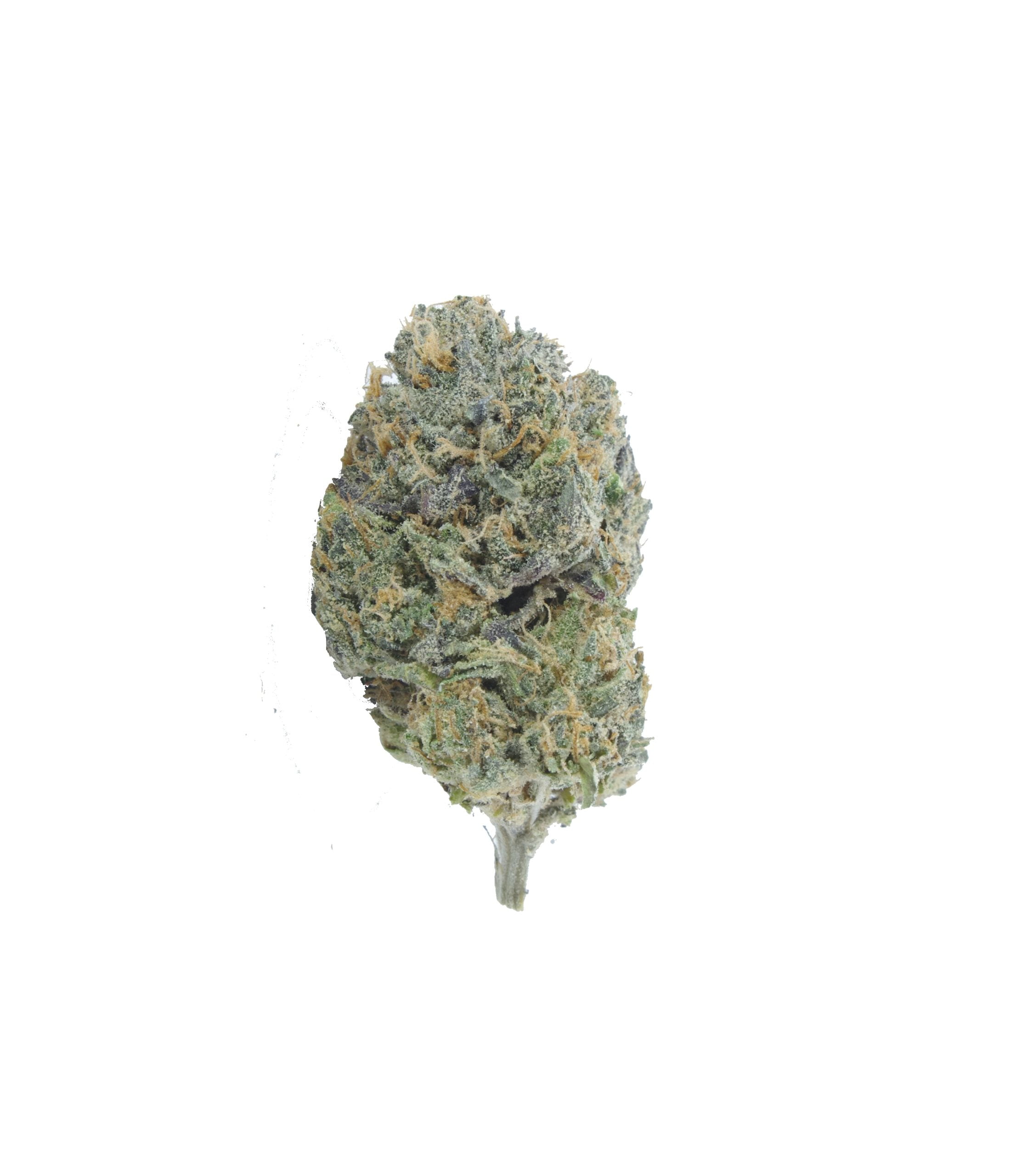 Royal Caramel (Oz Special) Hybrid anti-anxiety Royal Caramel (Oz Special) Hybrid anti-anxiety
