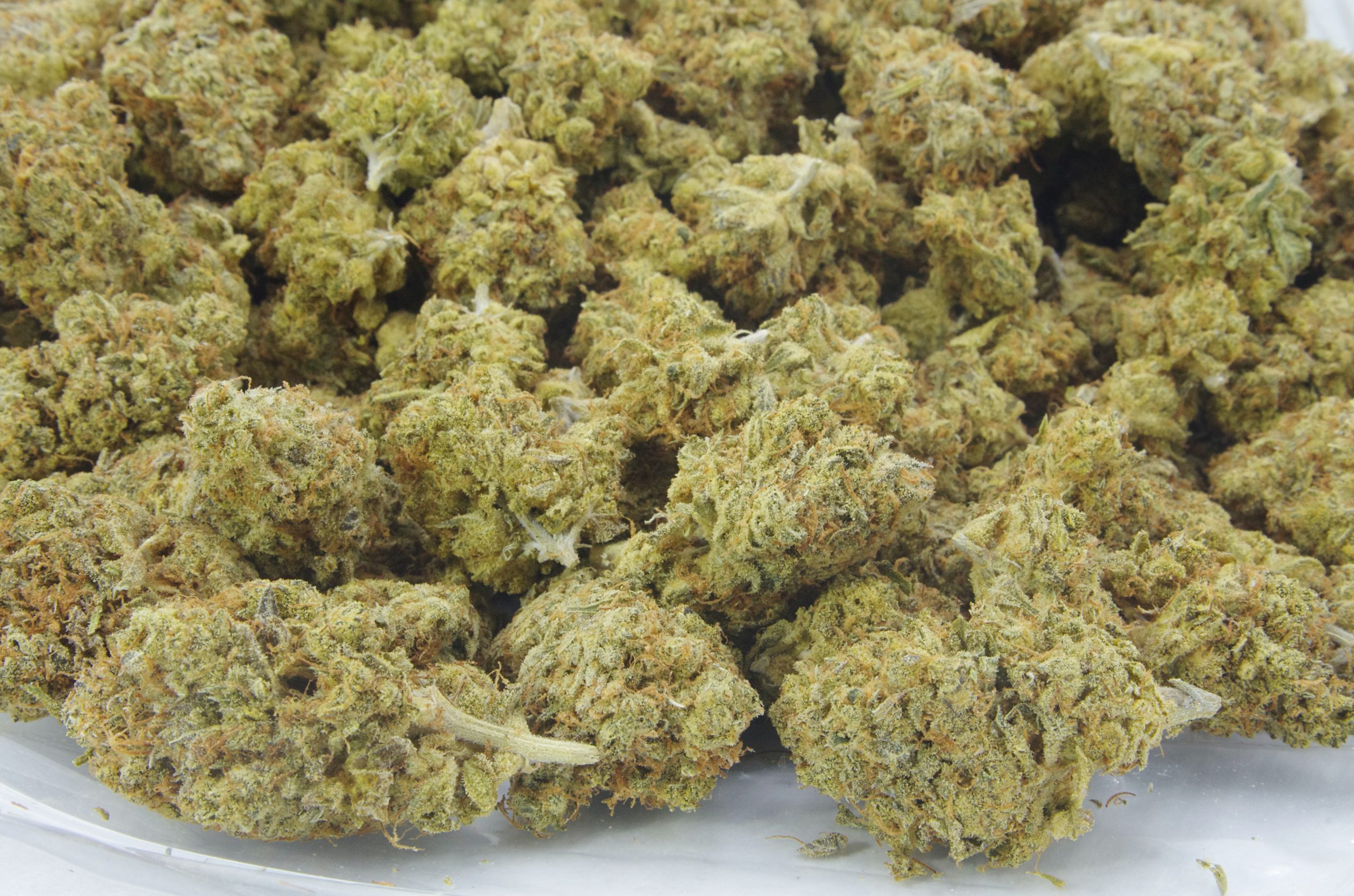 SFV OG Oz Special Hybrid anti-anxiety SFV OG Oz Special Hybrid anti-anxiety
