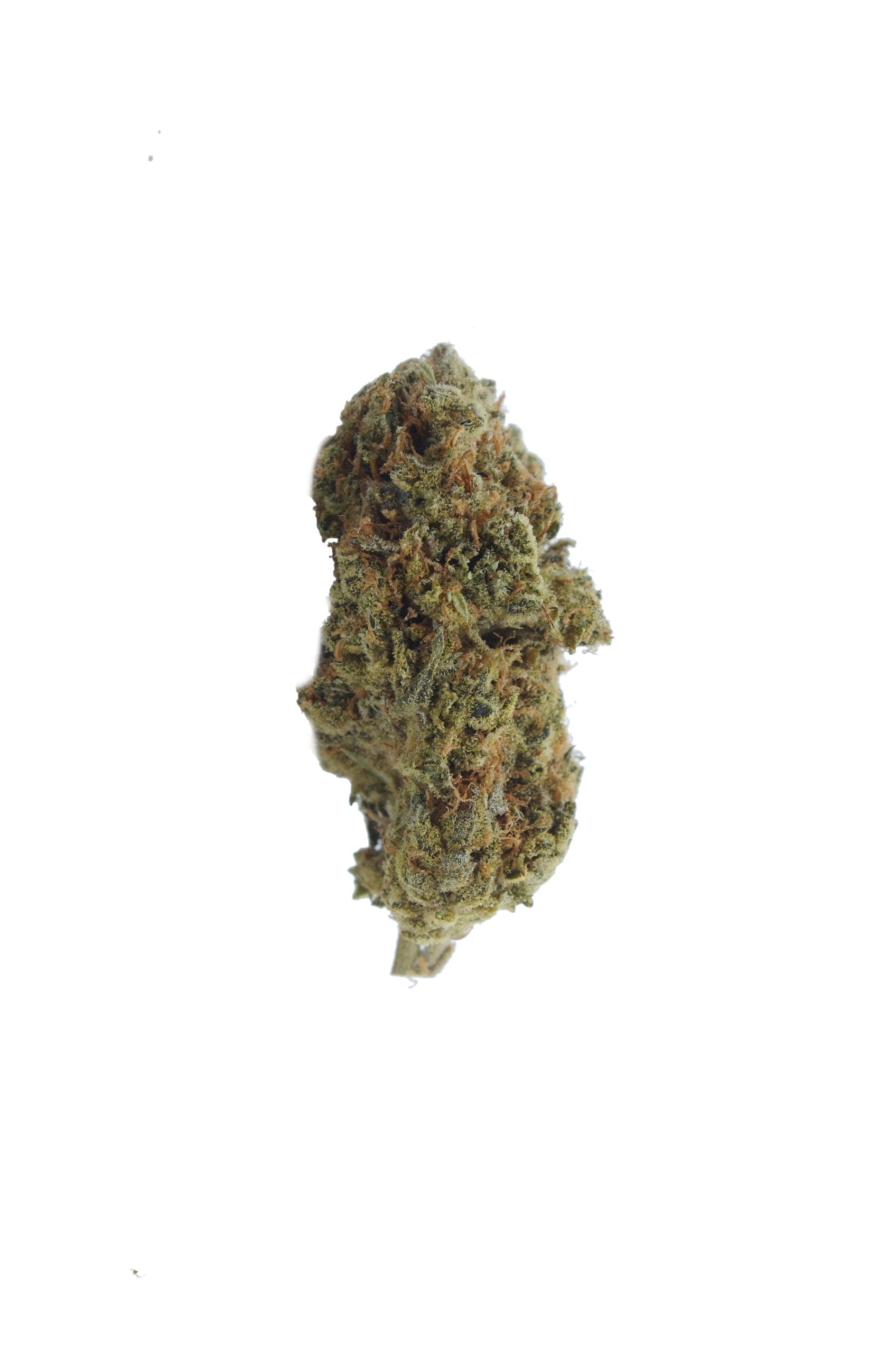 SFV OG Oz Special Hybrid anti-anxiety SFV OG Oz Special Hybrid anti-anxiety