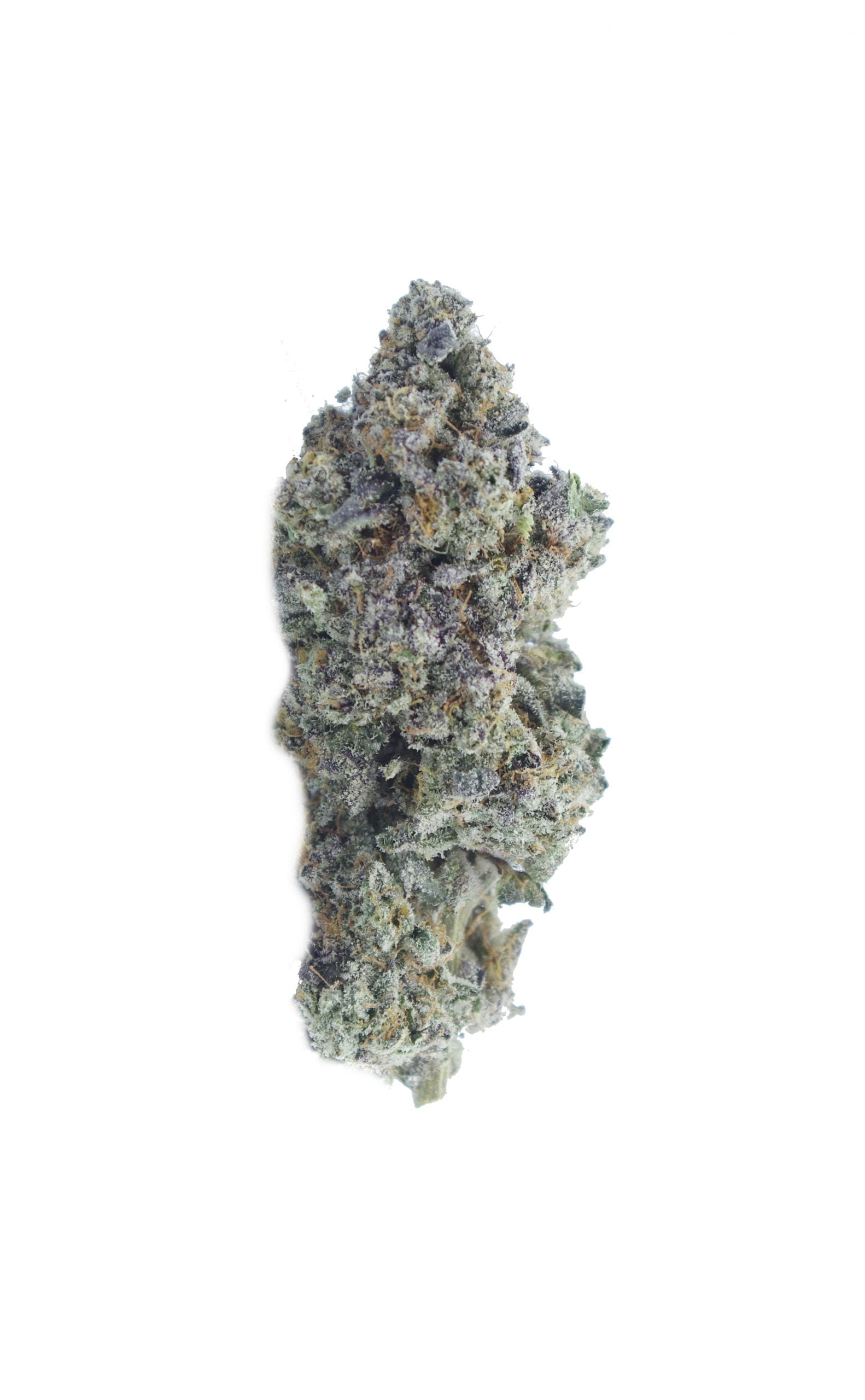 Sirius Black (Oz Special) Hybrid anti-anxiety Sirius Black (Oz Special) Hybrid anti-anxiety