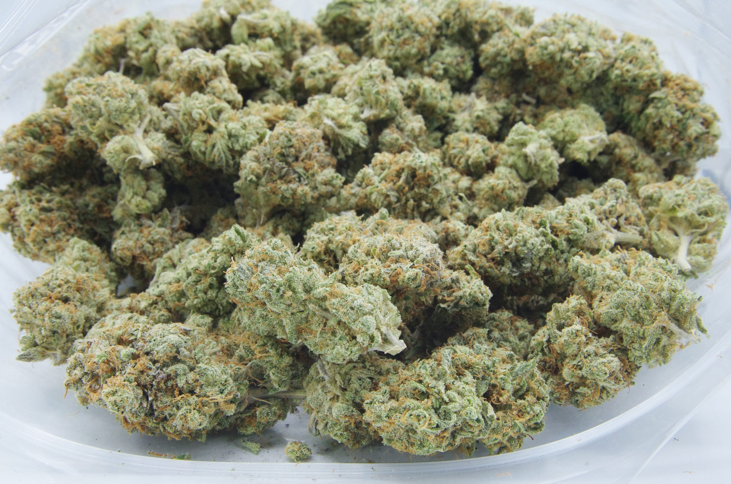 Slurries LSO (Oz Special) Hybrid anti-anxiety Slurries LSO (Oz Special) Hybrid anti-anxiety