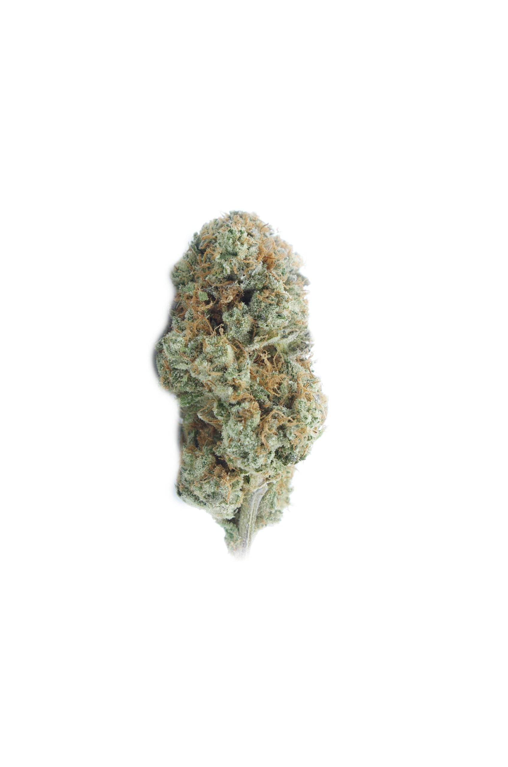 Slurries LSO (Oz Special) Hybrid anti-anxiety Slurries LSO (Oz Special) Hybrid anti-anxiety