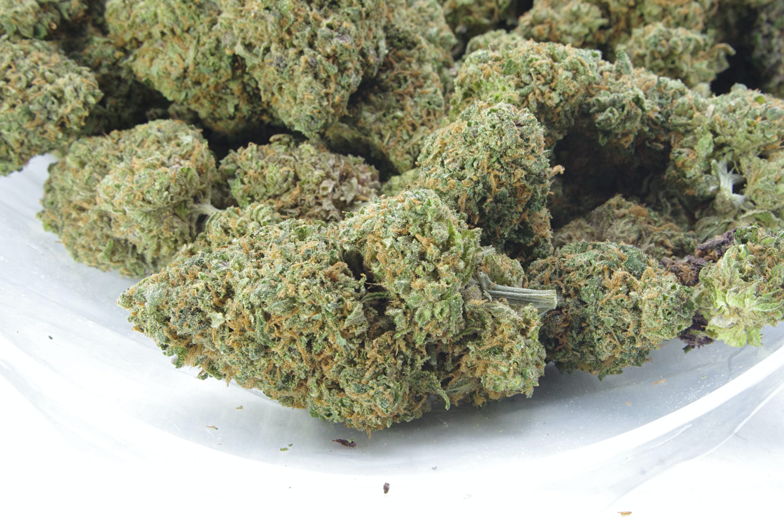 Snoop’s Dream (3.5G) Sativa anti-anxiety Snoop’s Dream (3.5G) Sativa anti-anxiety