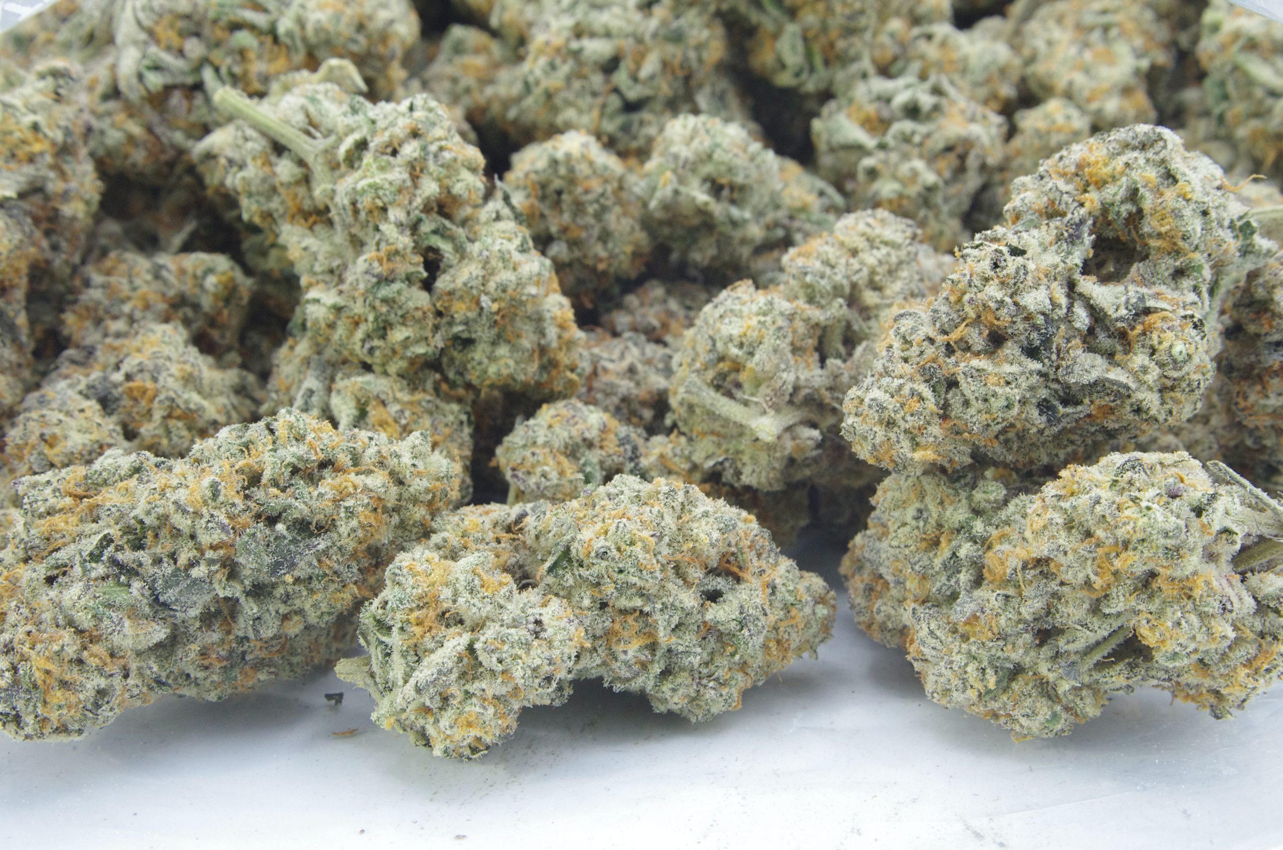 Sour Grapes Oz Special Hybrid anti-anxiety Sour Grapes Oz Special Hybrid anti-anxiety