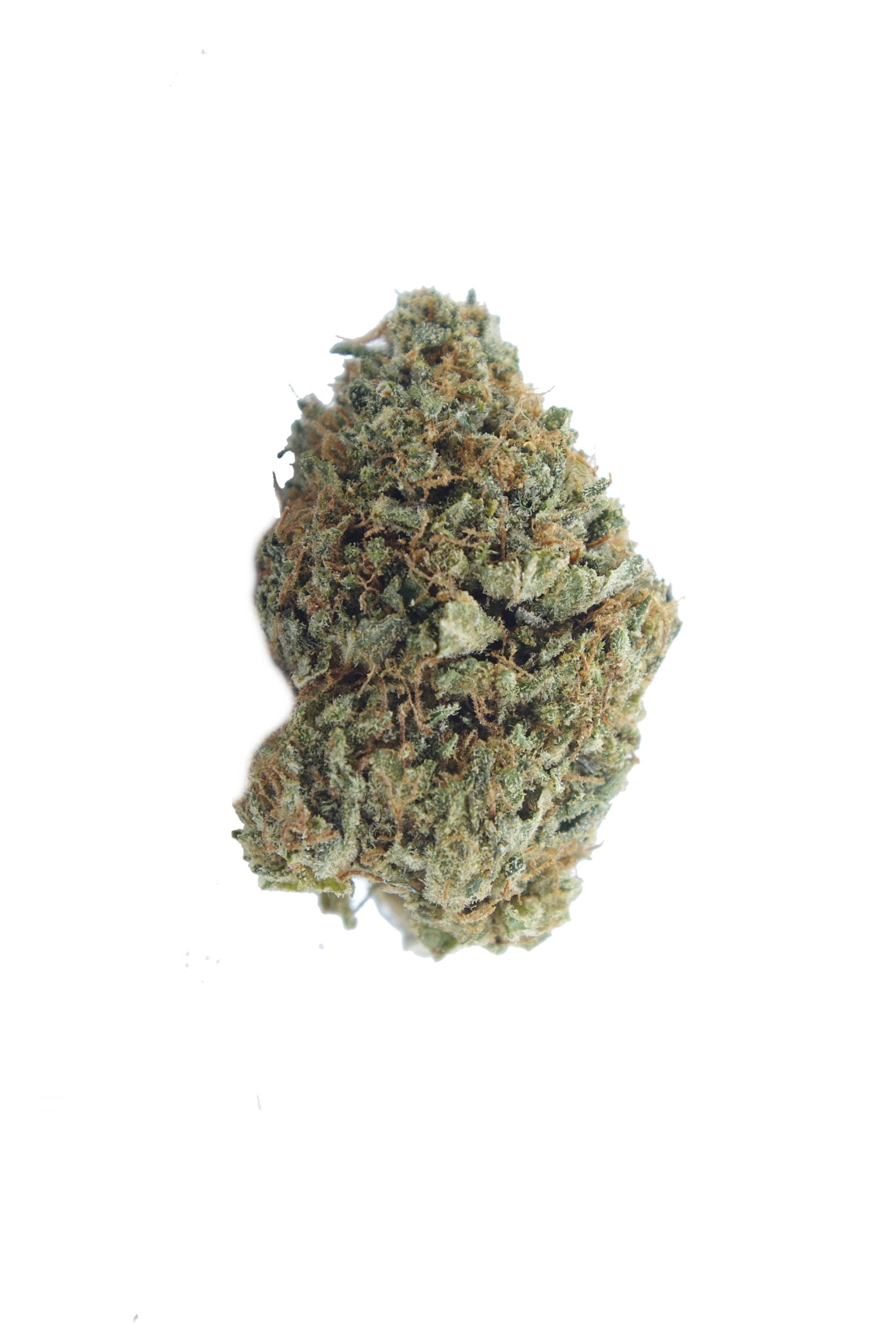 Sour OG Oz Special Hybrid anti-anxiety Sour OG Oz Special Hybrid anti-anxiety