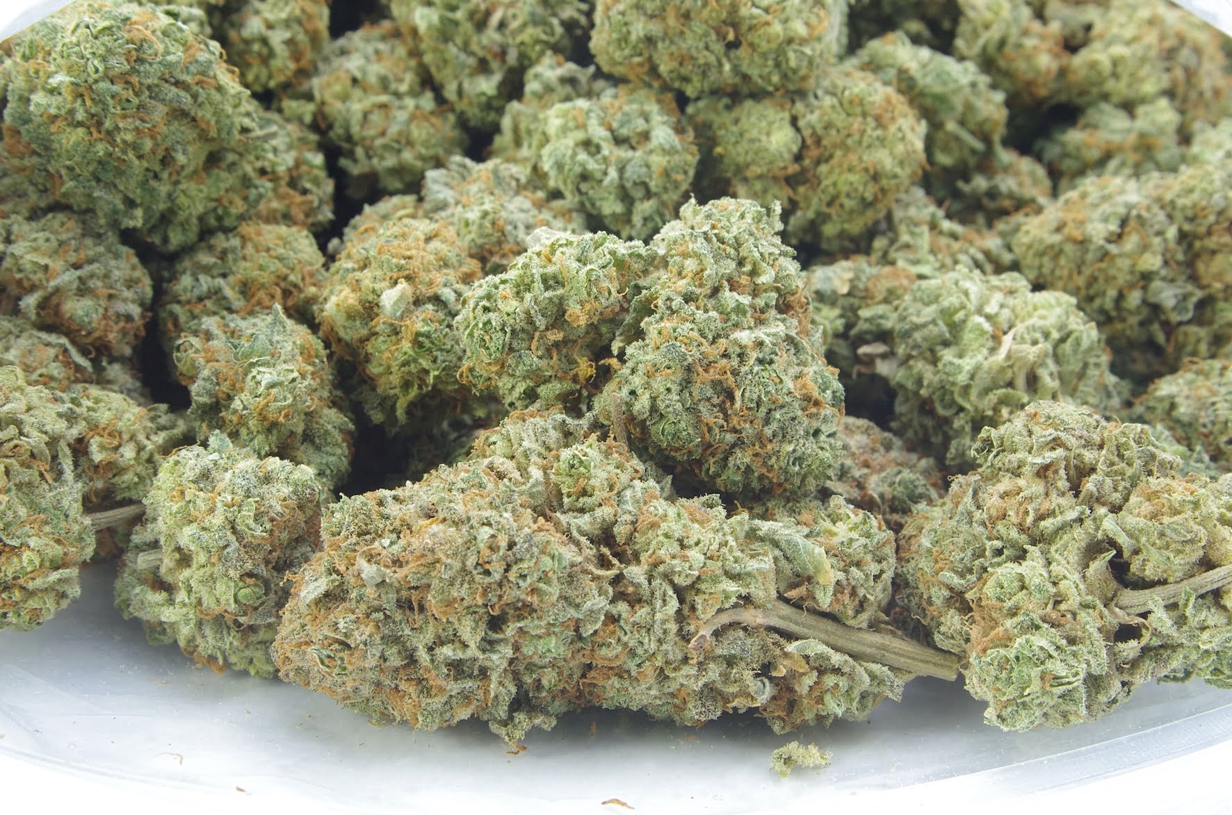 Super Pink Oz Special Hybrid Berries Super Pink Oz Special Hybrid Berries