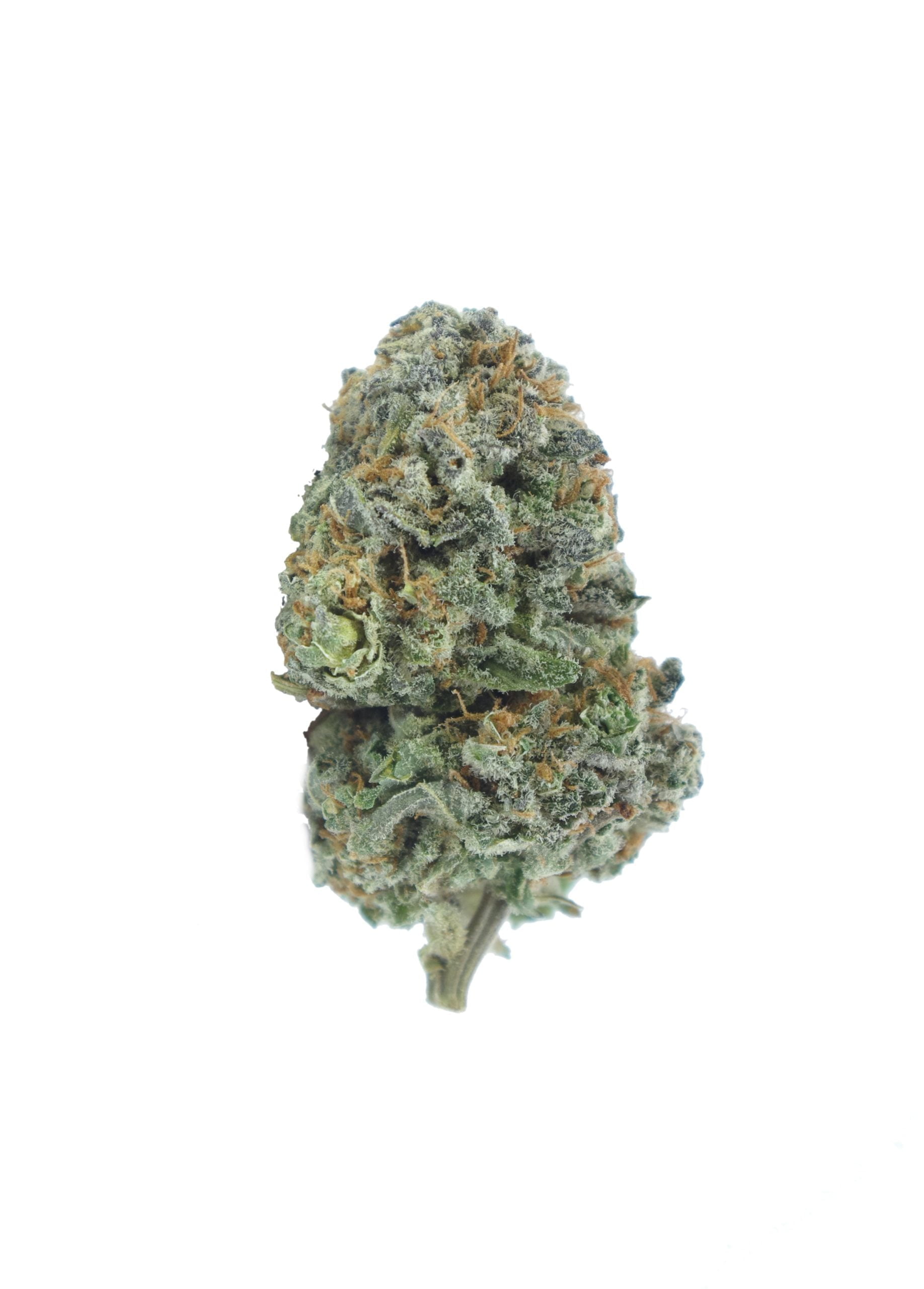 Super Pink Oz Special Hybrid Berries Super Pink Oz Special Hybrid Berries