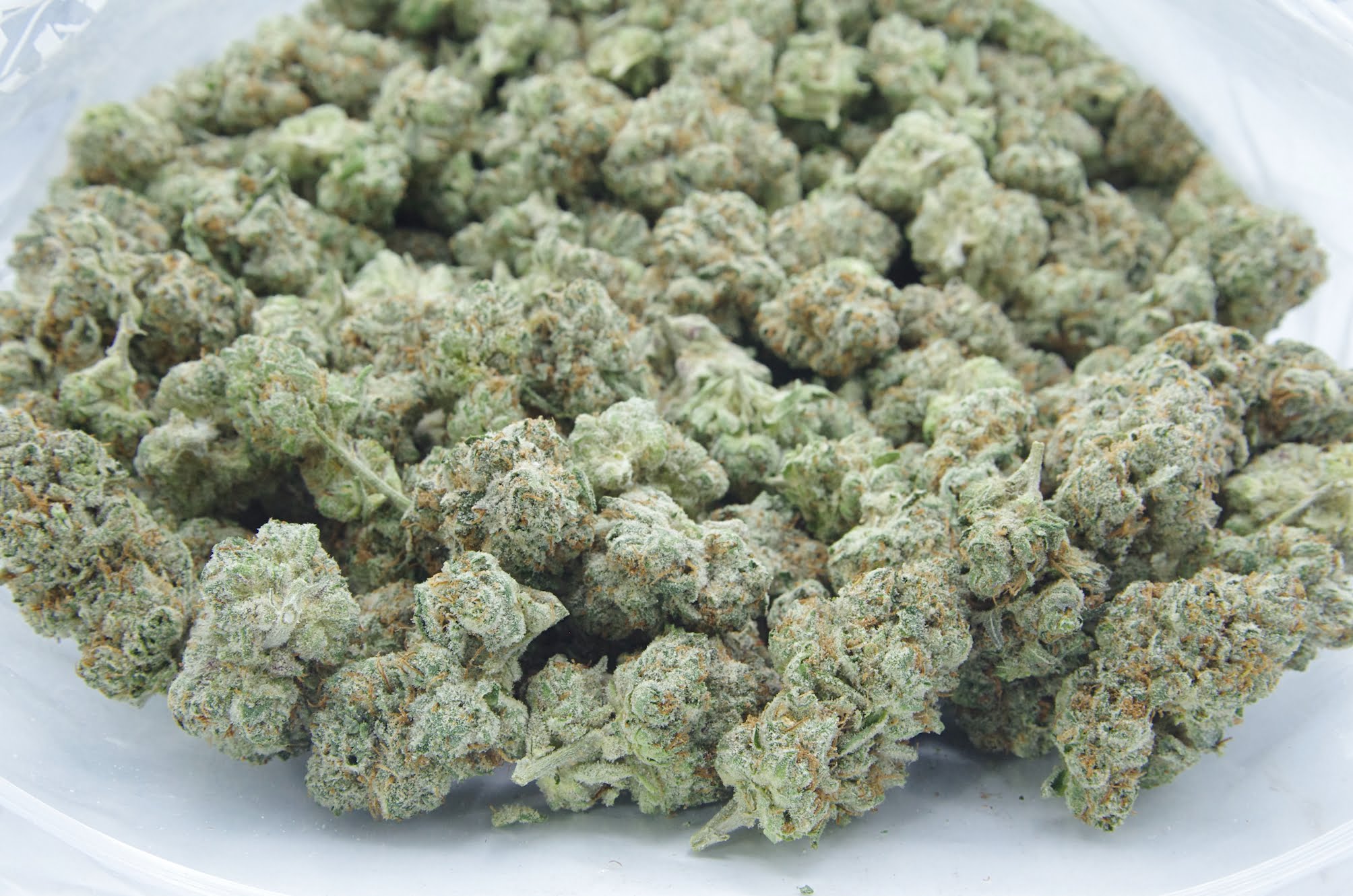 White Runtz Oz Special Hybrid anti-anxiety White Runtz Oz Special Hybrid anti-anxiety