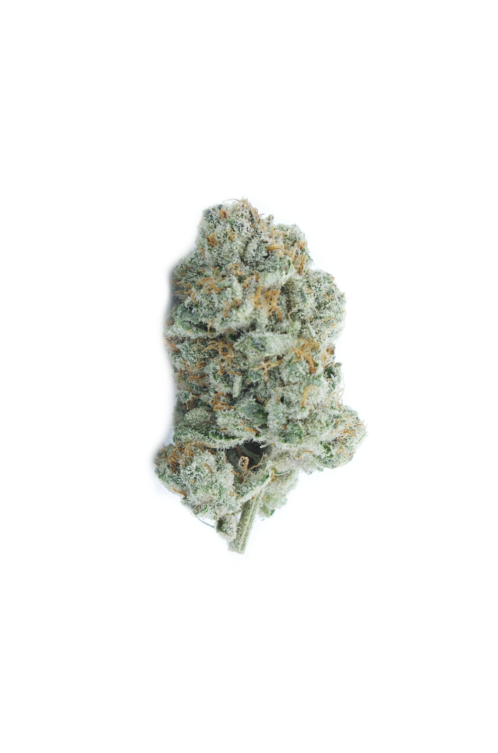 White Runtz Oz Special Hybrid anti-anxiety White Runtz Oz Special Hybrid anti-anxiety