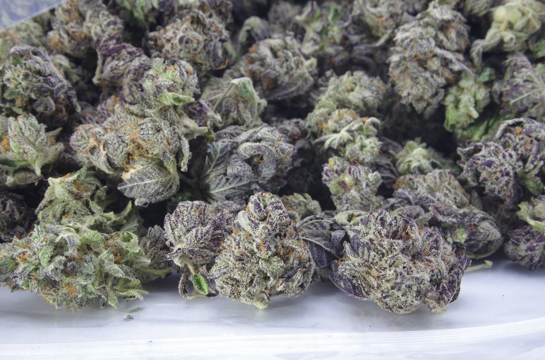 White Truffle Smalls Oz Special Indica anti-anxiety White Truffle Smalls Oz Special Indica anti-anxiety