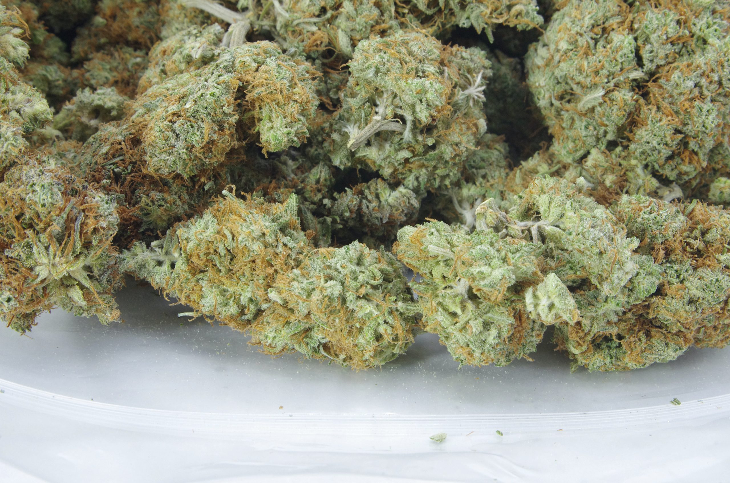 White Widow Oz Special Sativa anti-anxiety White Widow Oz Special Sativa anti-anxiety
