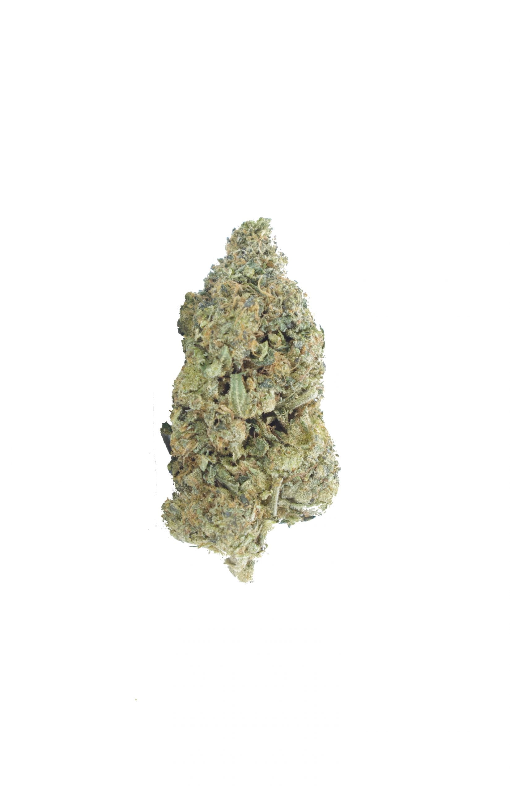 WiFi OG (Oz Special) Hybrid anti-anxiety WiFi OG (Oz Special) Hybrid anti-anxiety