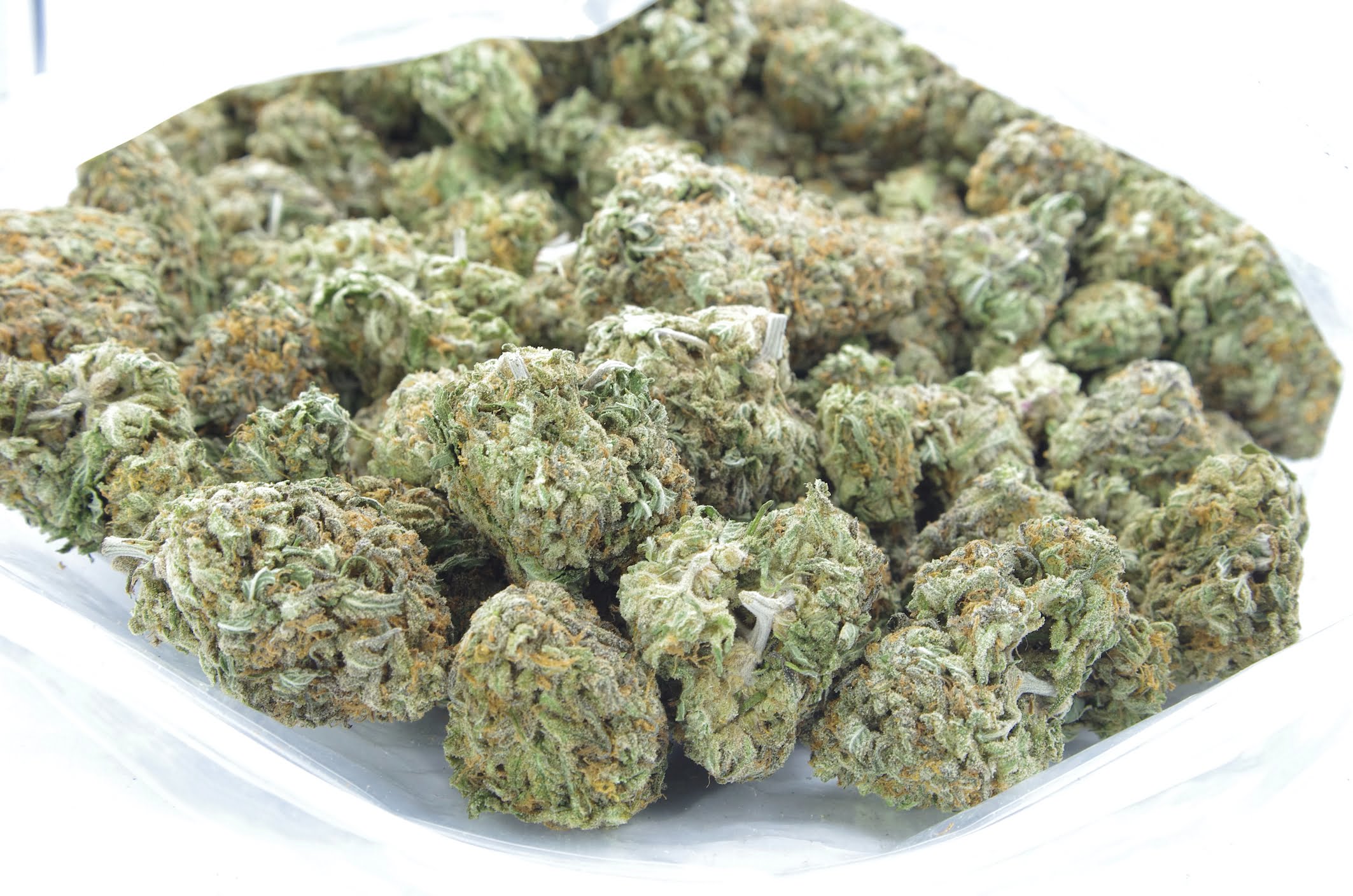 Nuken Oz Special Hybrid anti-anxiety Nuken Oz Special Hybrid anti-anxiety