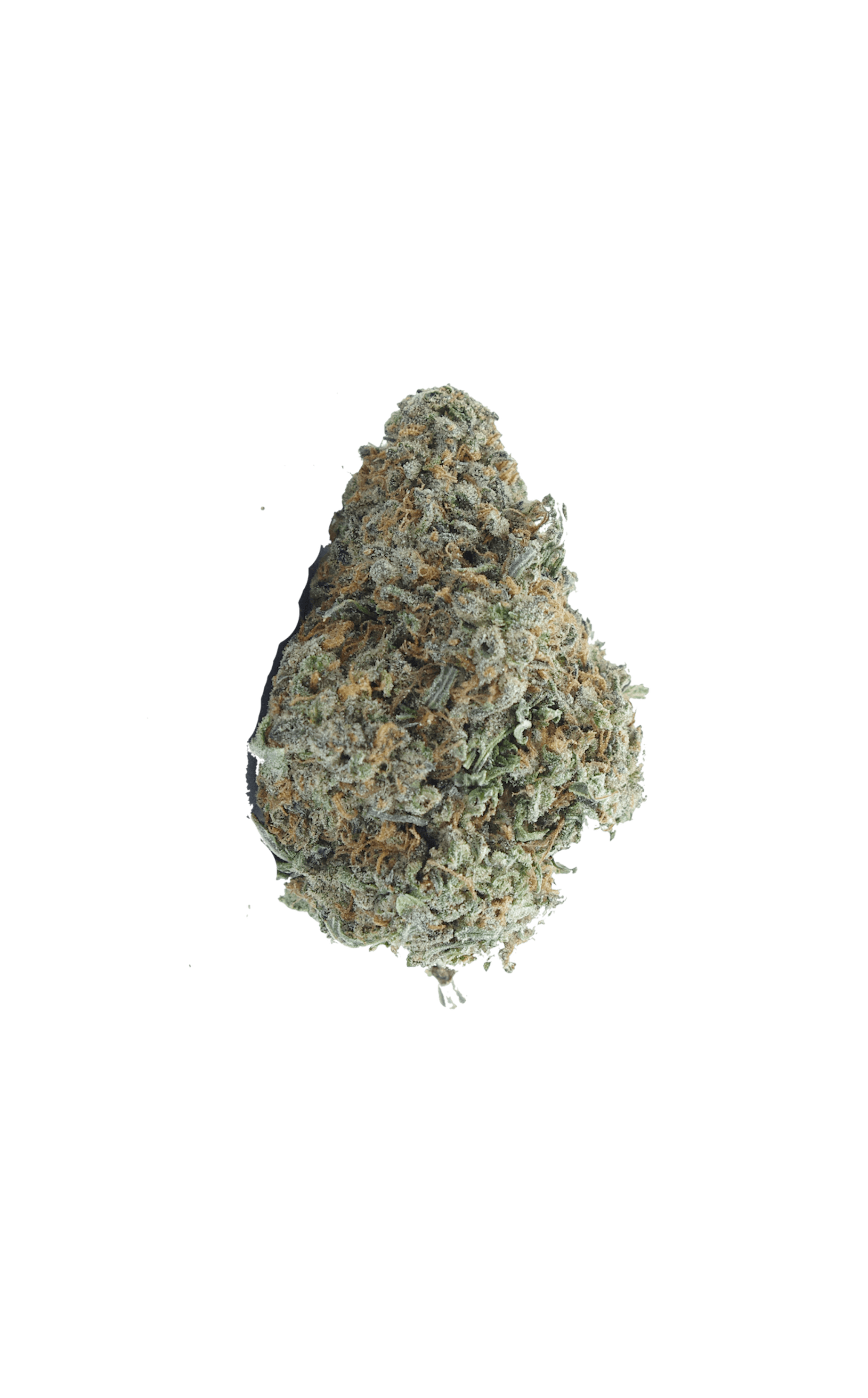 Nuken Oz Special Hybrid anti-anxiety Nuken Oz Special Hybrid anti-anxiety