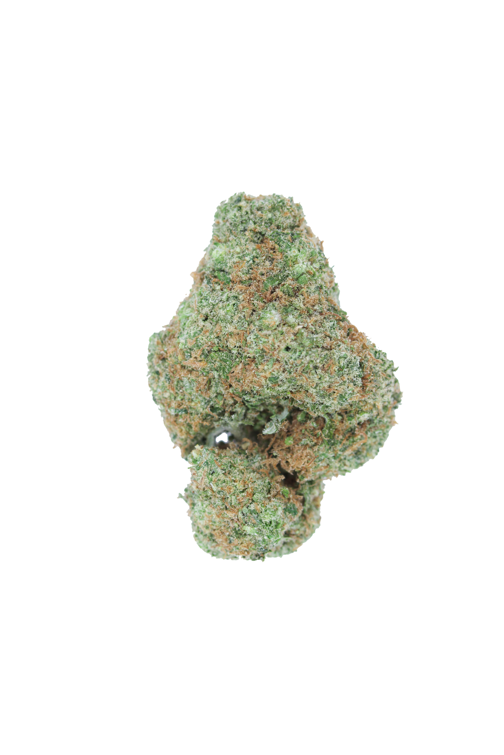 Alien Glue Hybrid anxiety Alien Glue Hybrid anxiety