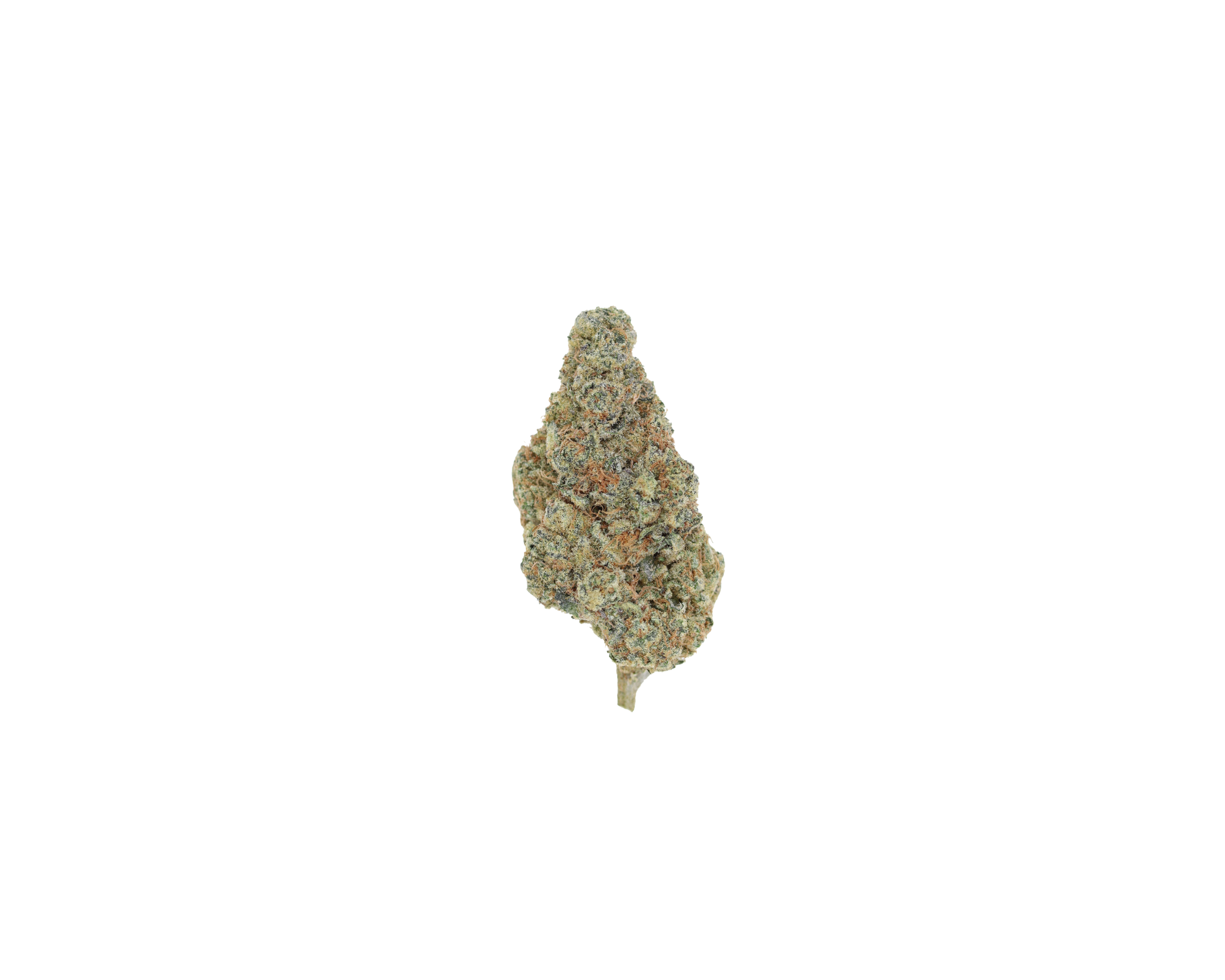 Blue Guava (1/2lb) Wholesale Flower Anxiety Easing Blue Guava (1/2lb) Wholesale Flower Anxiety Easing