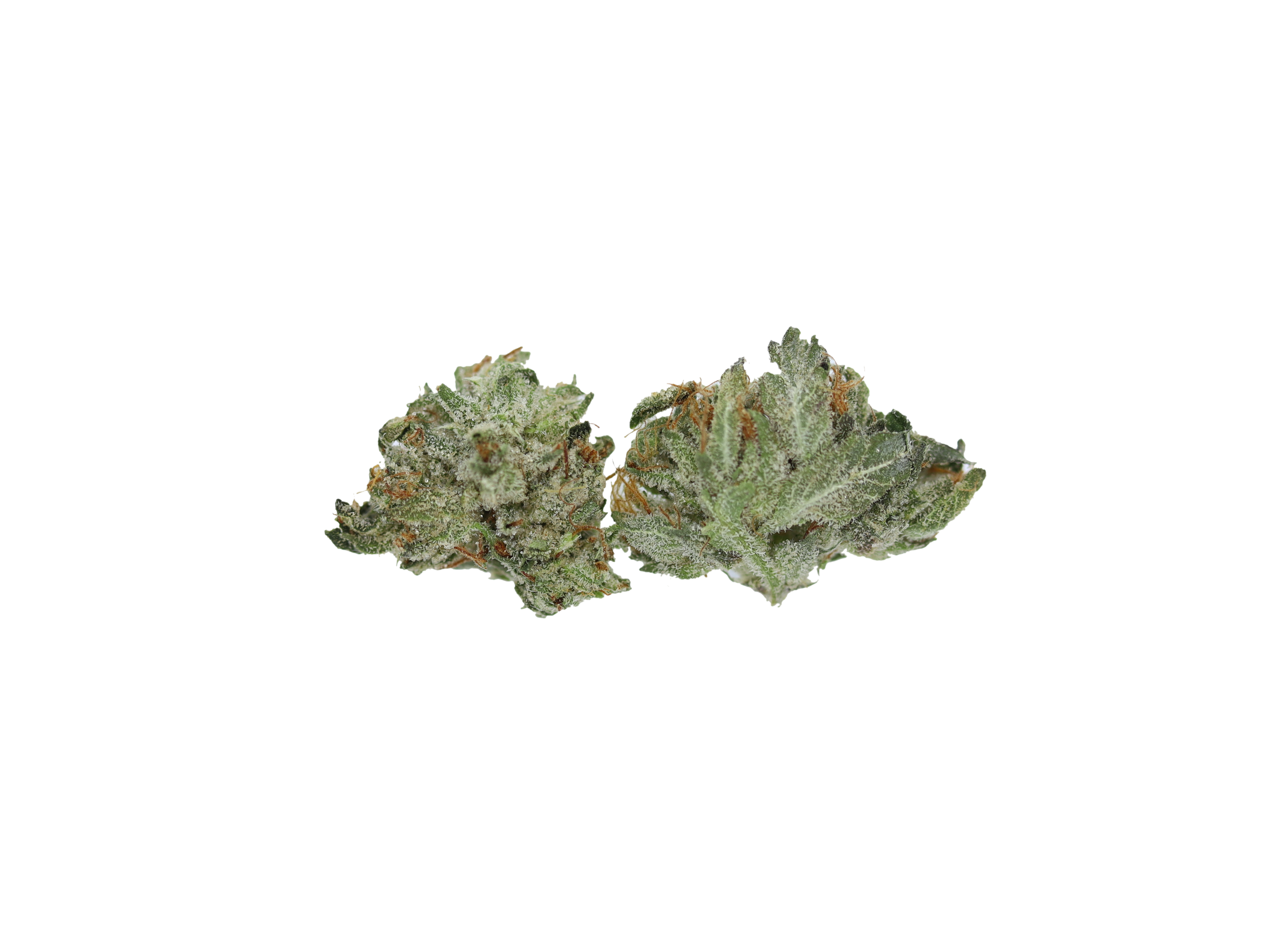 Bubba OG Smalls Indica Bubba OG Smalls Bubba OG Smalls Indica Bubba OG Smalls
