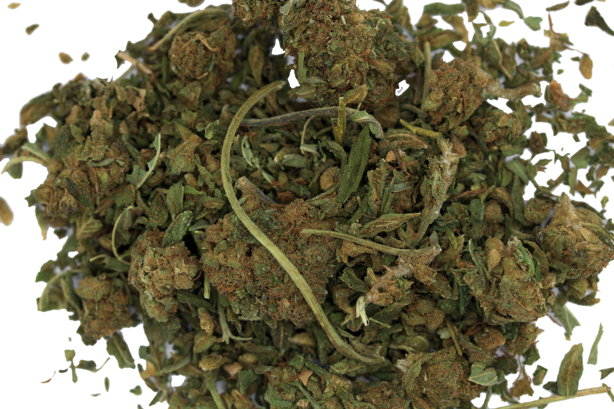 Hindu Kush Shake (1lb) Wholesale Flower anti-anxiety Hindu Kush Shake (1lb) Wholesale Flower anti-anxiety