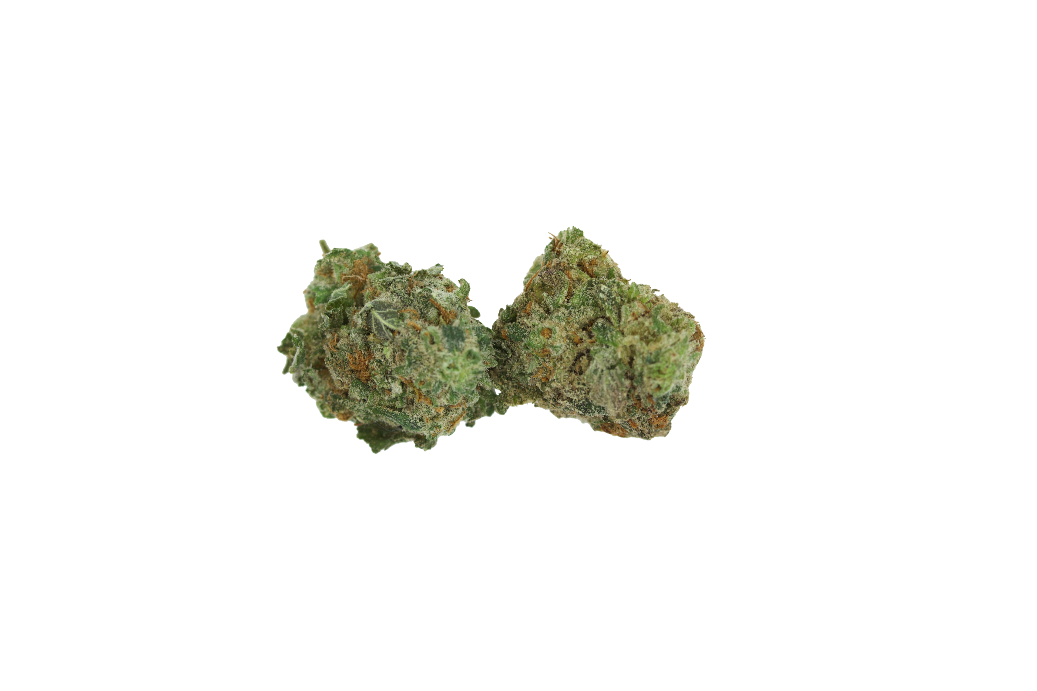 Space Cookies Smalls (1/2lb) All Strains anxiety Space Cookies Smalls (1/2lb) All Strains anxiety