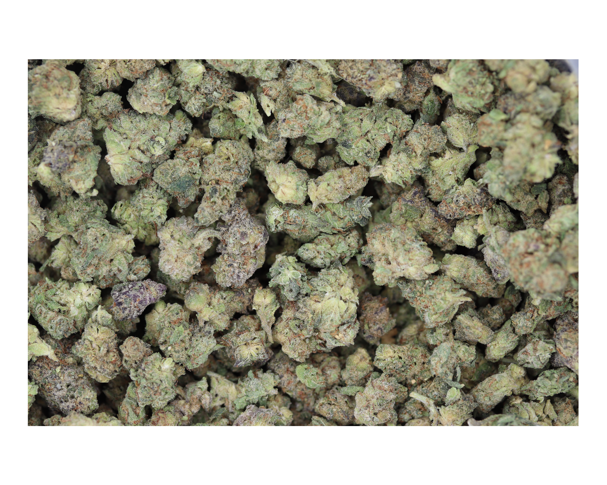 Papaya Smalls All Strains Anxiety Easing Papaya Smalls All Strains Anxiety Easing