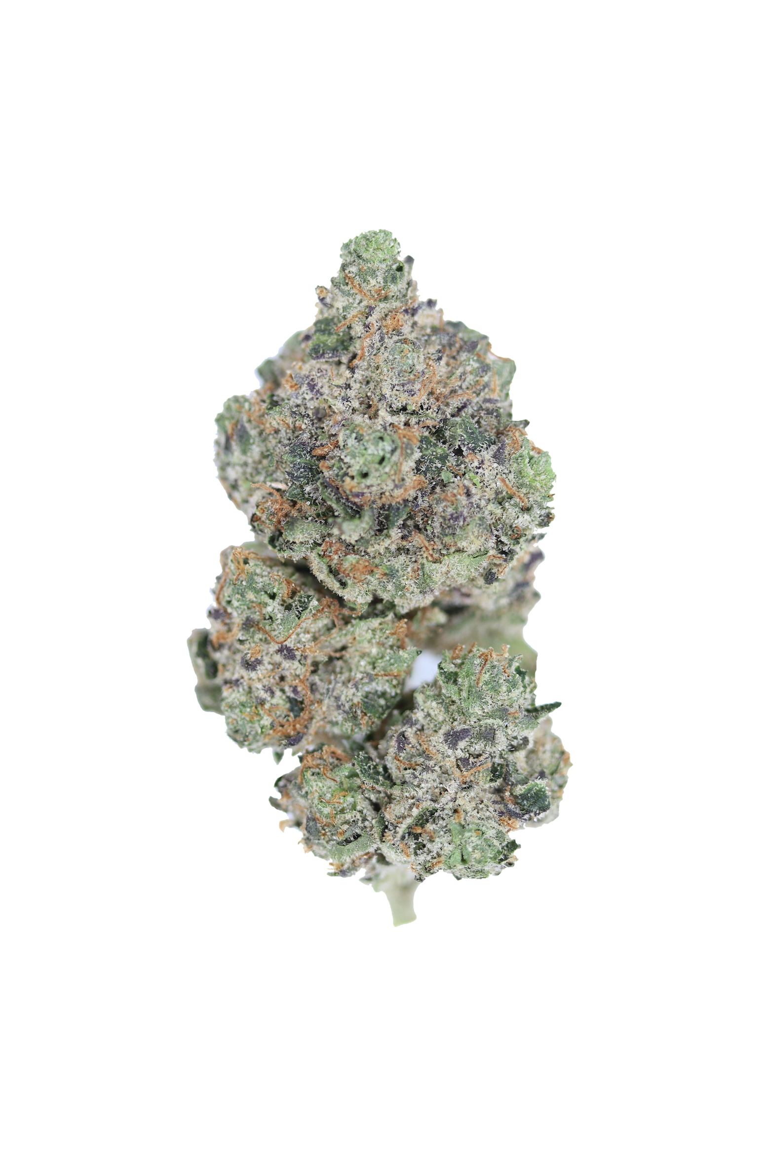 Platinum Bubba (1/2lb) Bulk Cannabis Flower Platinum Bubba (1/2lb) Bulk Cannabis Flower