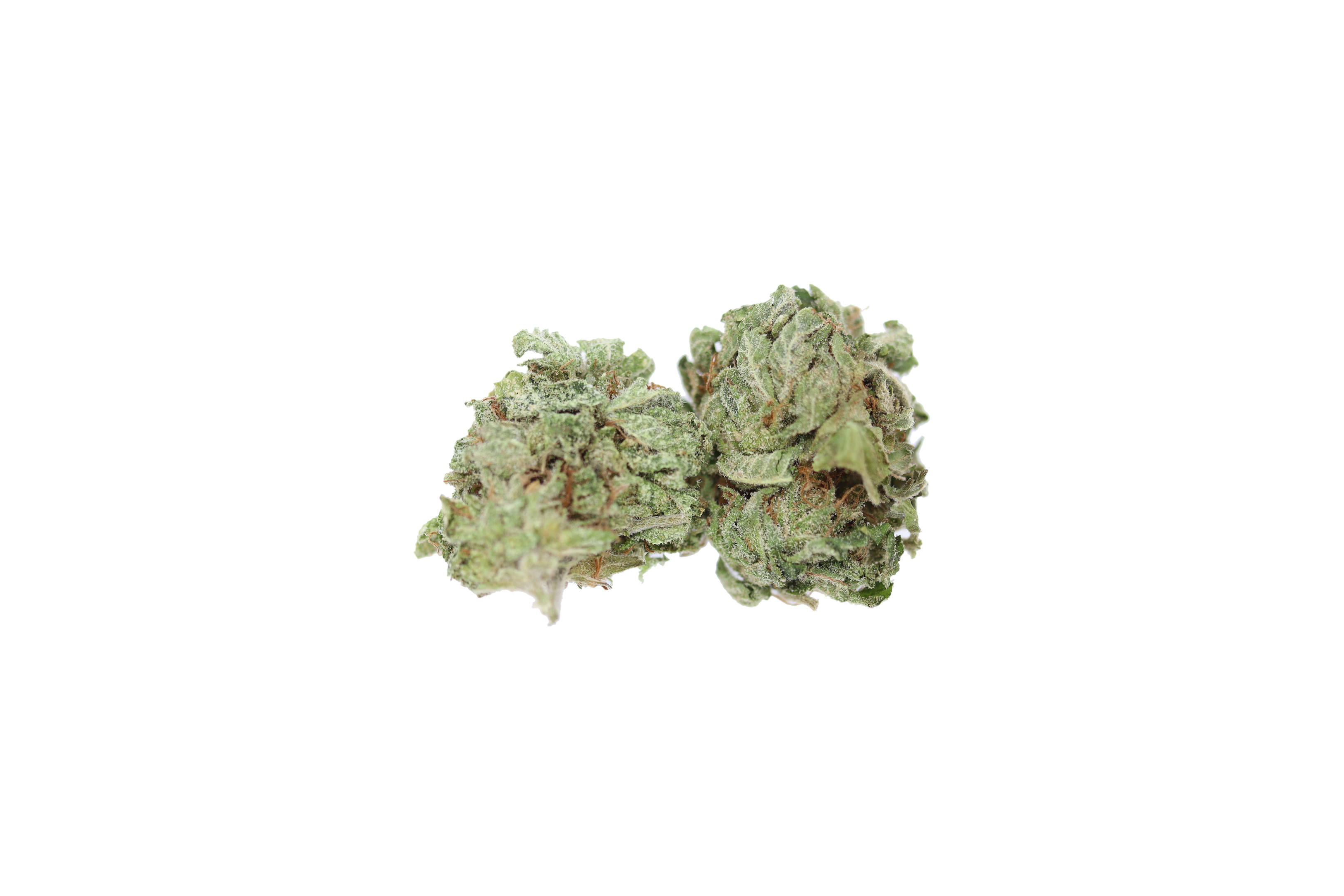 Tuna OG Smalls Indica Anxiety Relief Tuna OG Smalls Indica Anxiety Relief