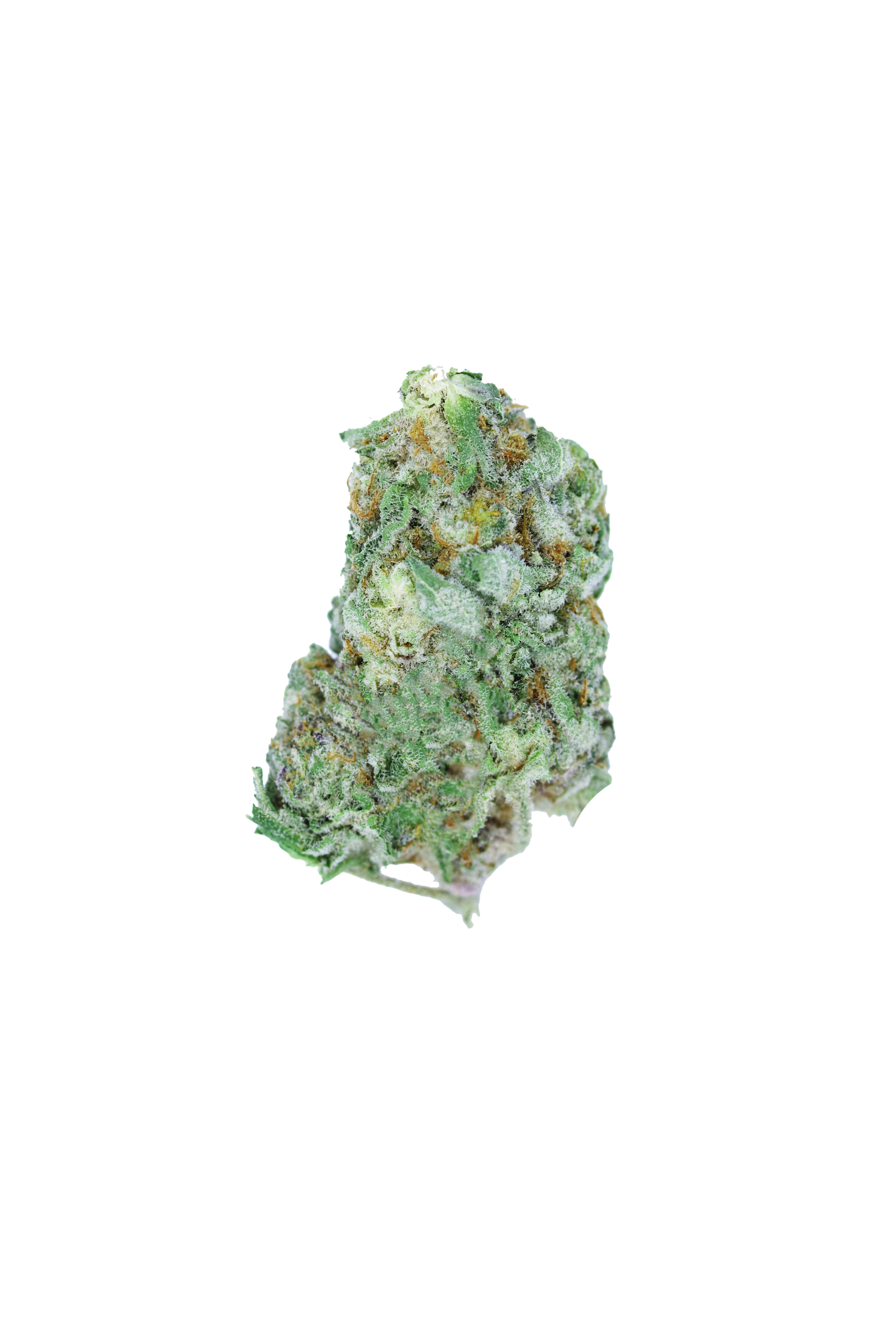 Capulator Hybrid Cannabis Flower Capulator Hybrid Cannabis Flower