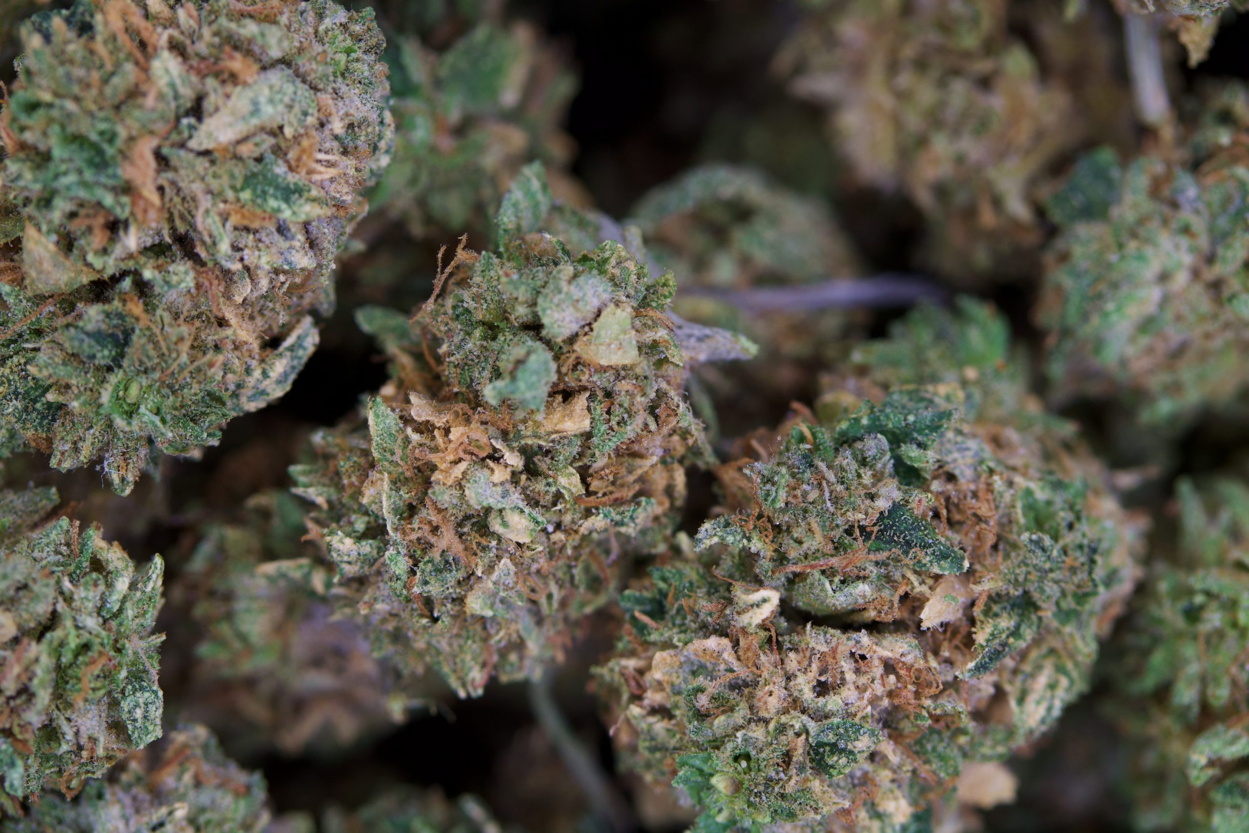 Chrome Cake Smalls Hybrid Cannabis Flower Chrome Cake Smalls Hybrid Cannabis Flower
