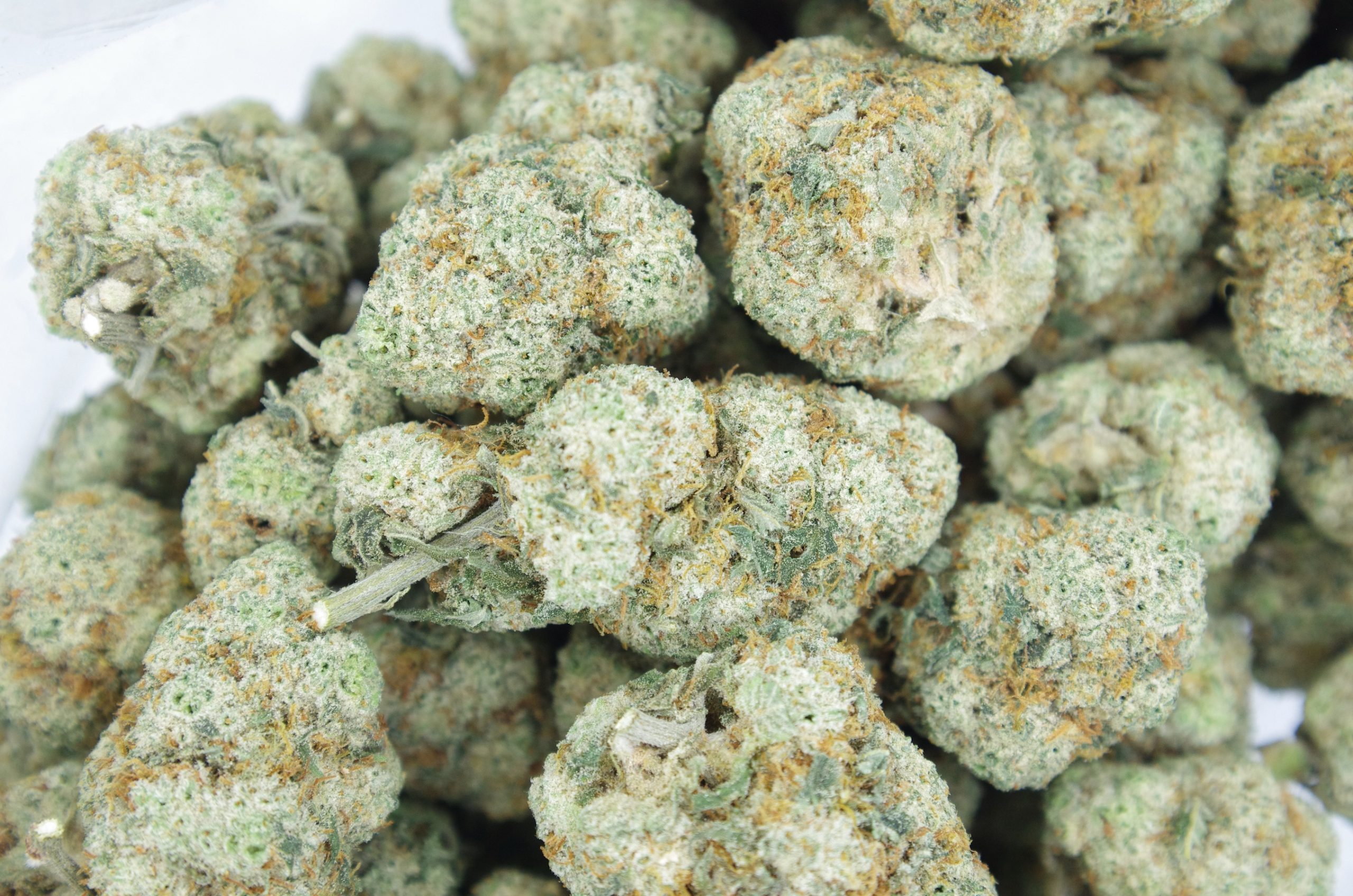Cookie Dough All Strains anxiety Cookie Dough All Strains anxiety