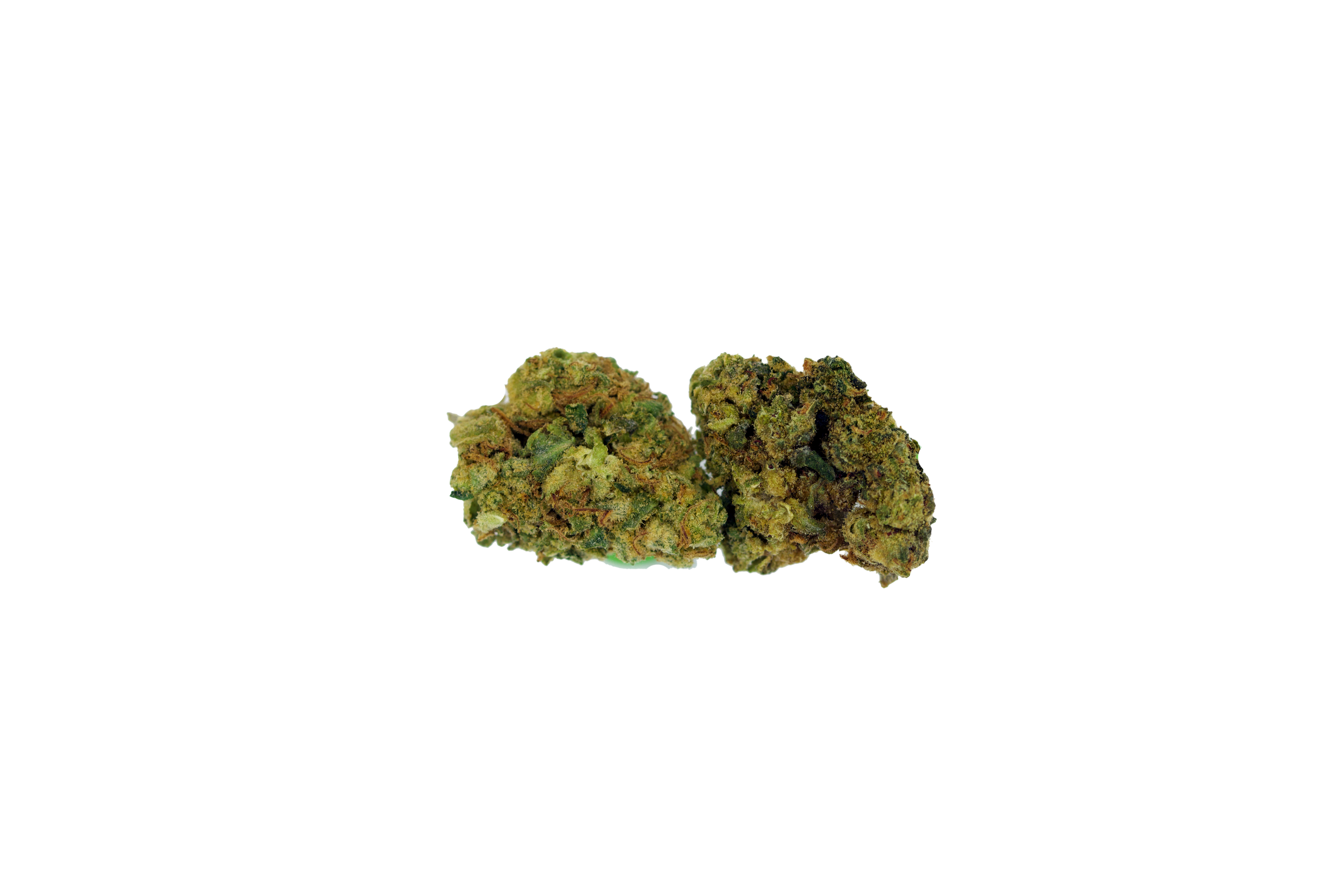 Lemon Cherry Gelato Smalls Hybrid anxiety Lemon Cherry Gelato Smalls Hybrid anxiety