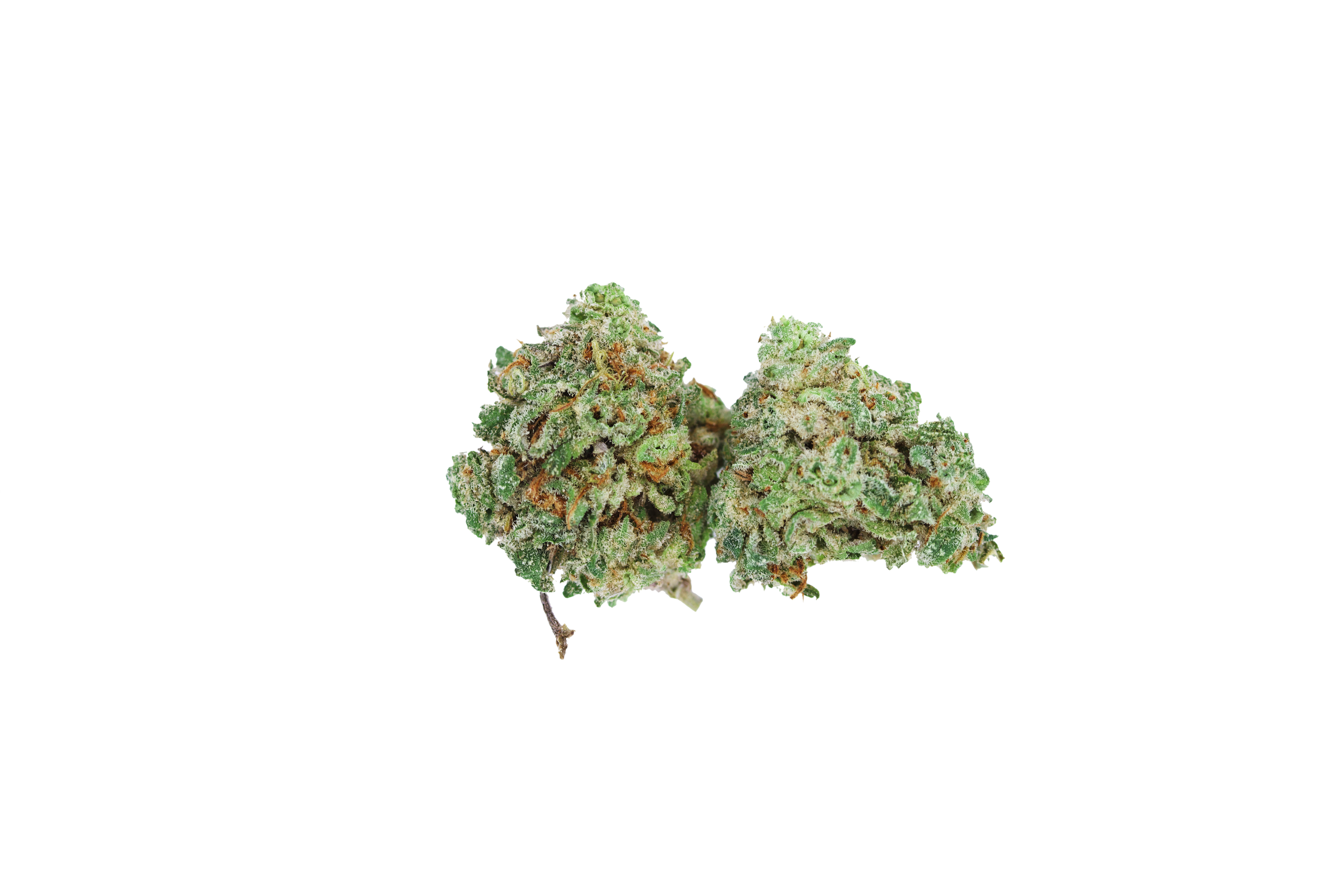 Mimosa Smalls Hybrid Cannabis Flower Mimosa Smalls Hybrid Cannabis Flower