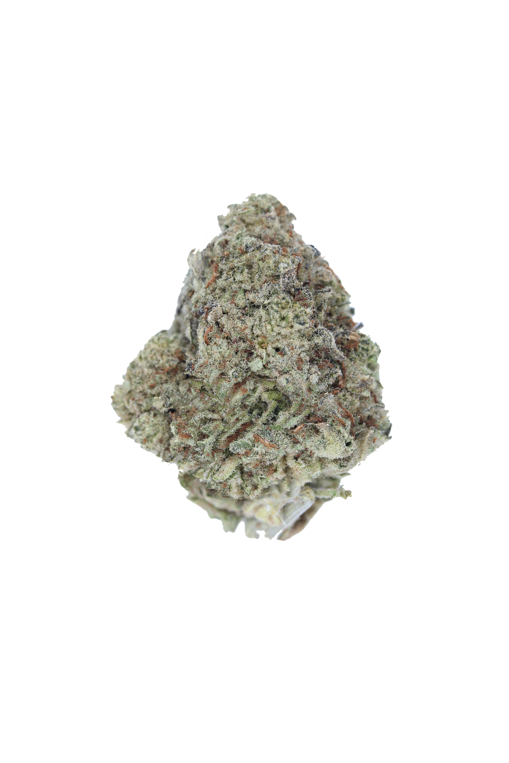 Pacific Frost Hybrid Cannabis Flower Pacific Frost Hybrid Cannabis Flower