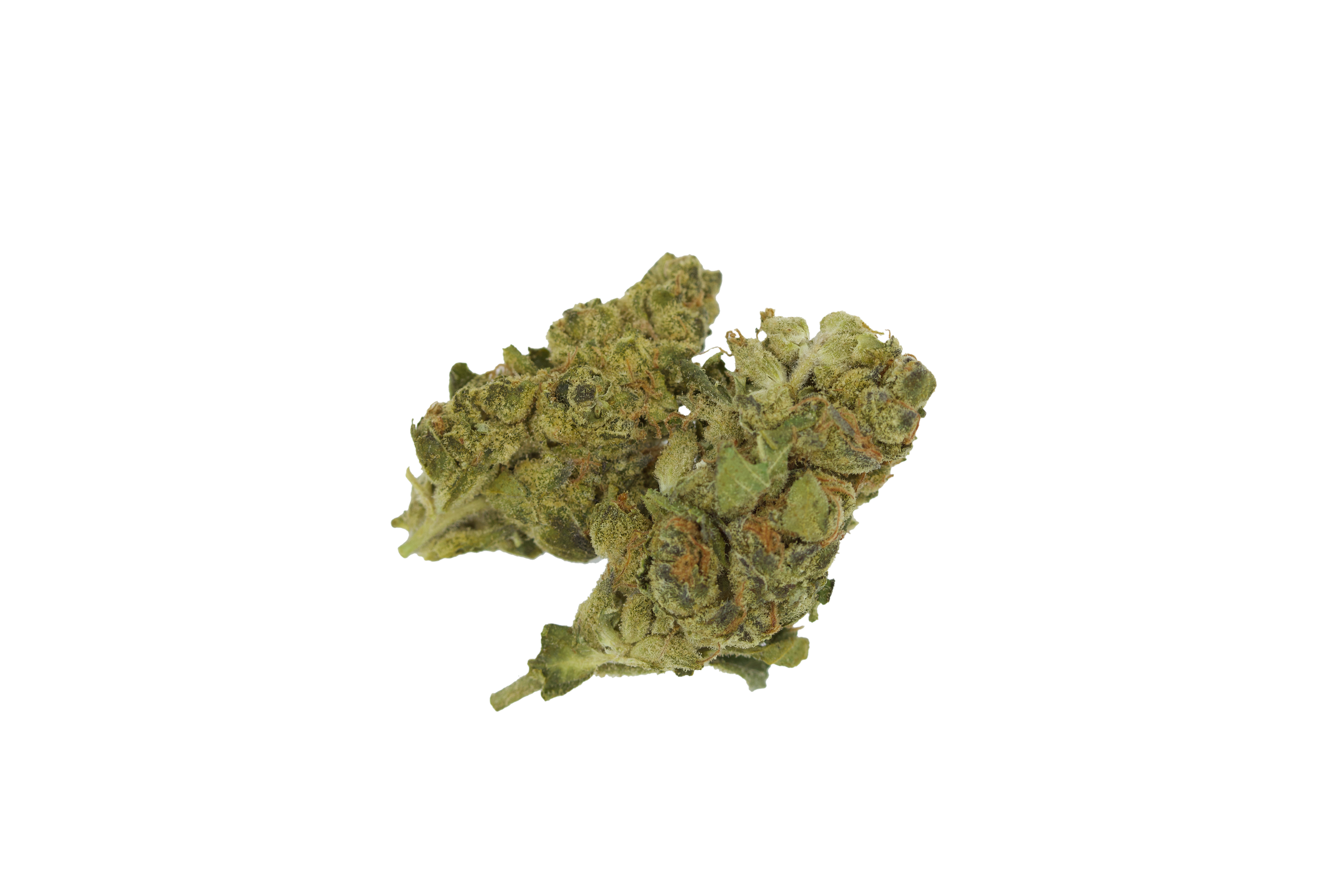 Tang Breath Smalls Sativa appetite stimulation Tang Breath Smalls Sativa appetite stimulation