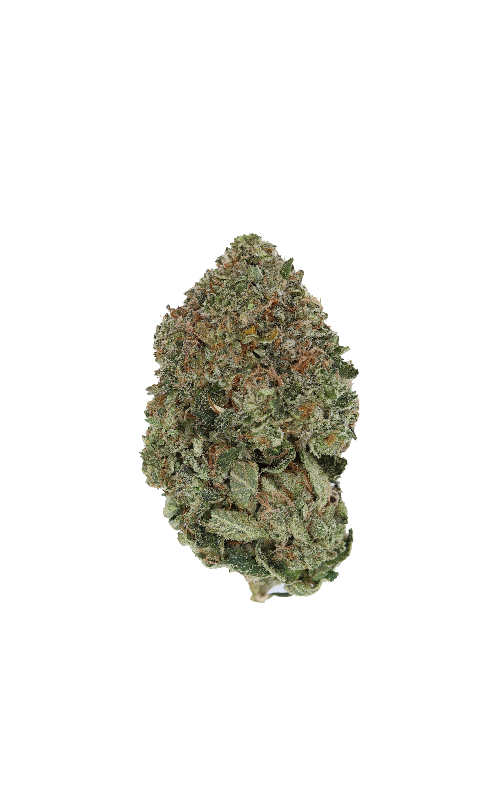 Afghan Kush Indica anxiety Afghan Kush Indica anxiety