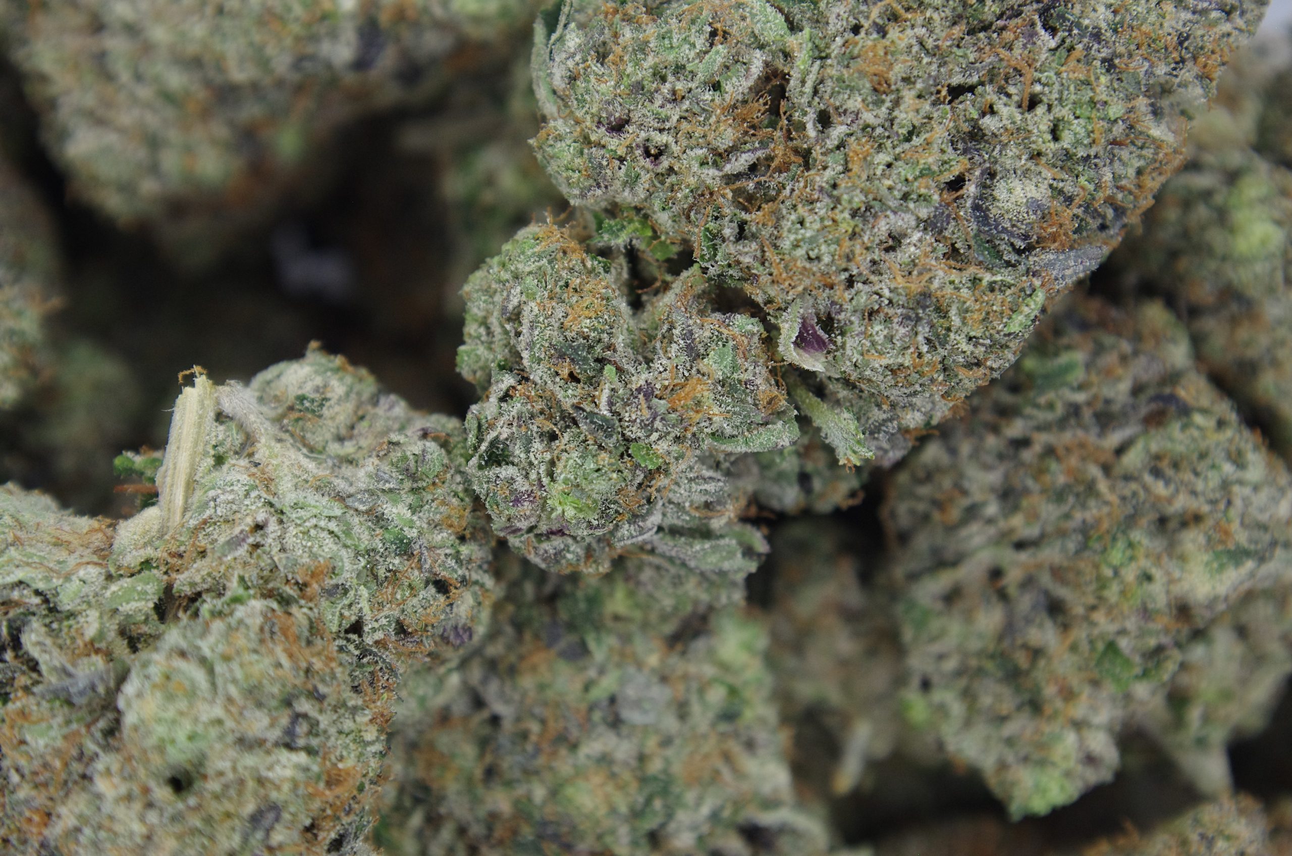Gas Mask Indica Cannabis Flower Gas Mask Indica Cannabis Flower
