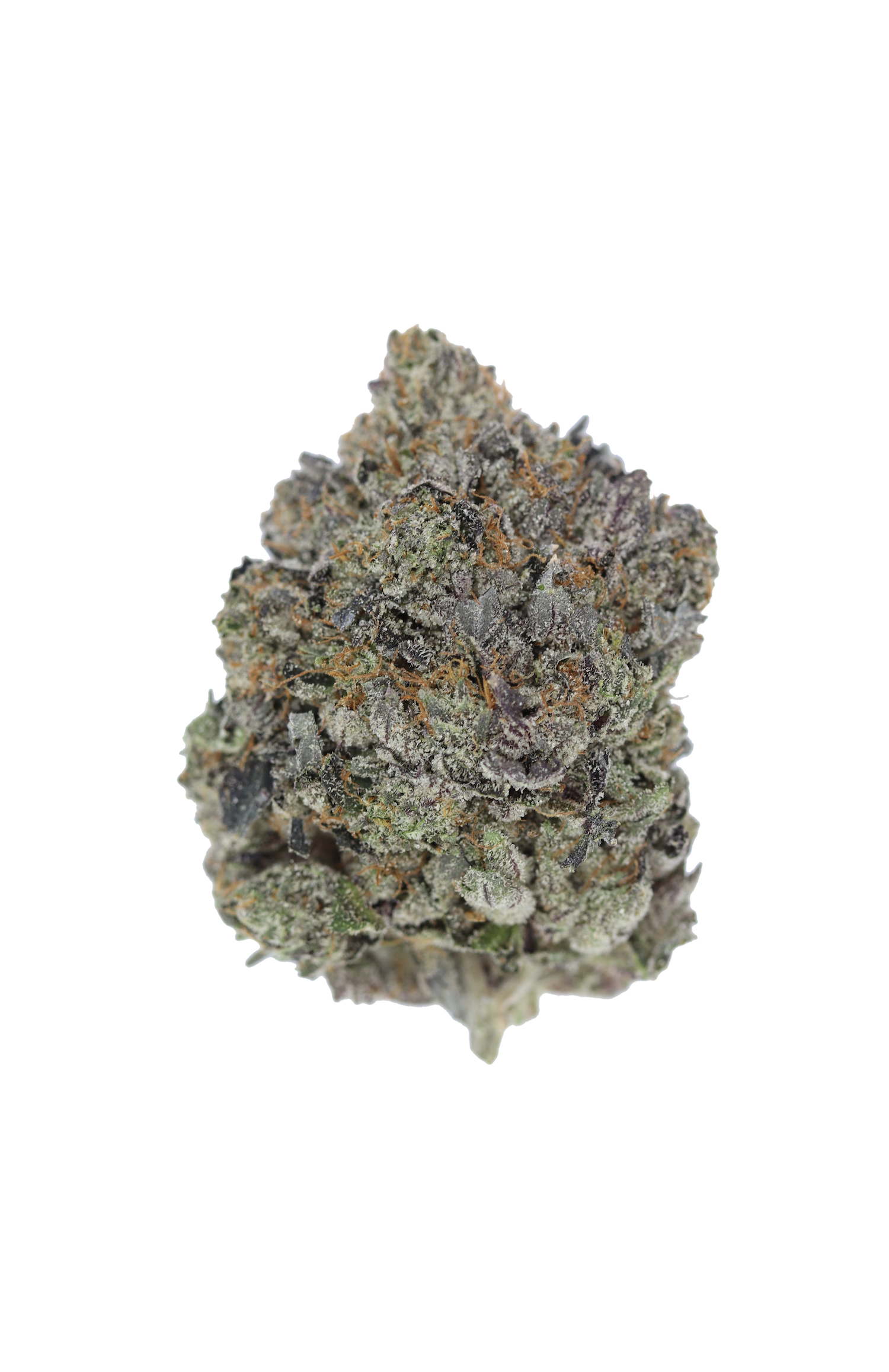 Gas Militia – Pink Sapphire Indica Gas Militia – Pink Sapphire Indica