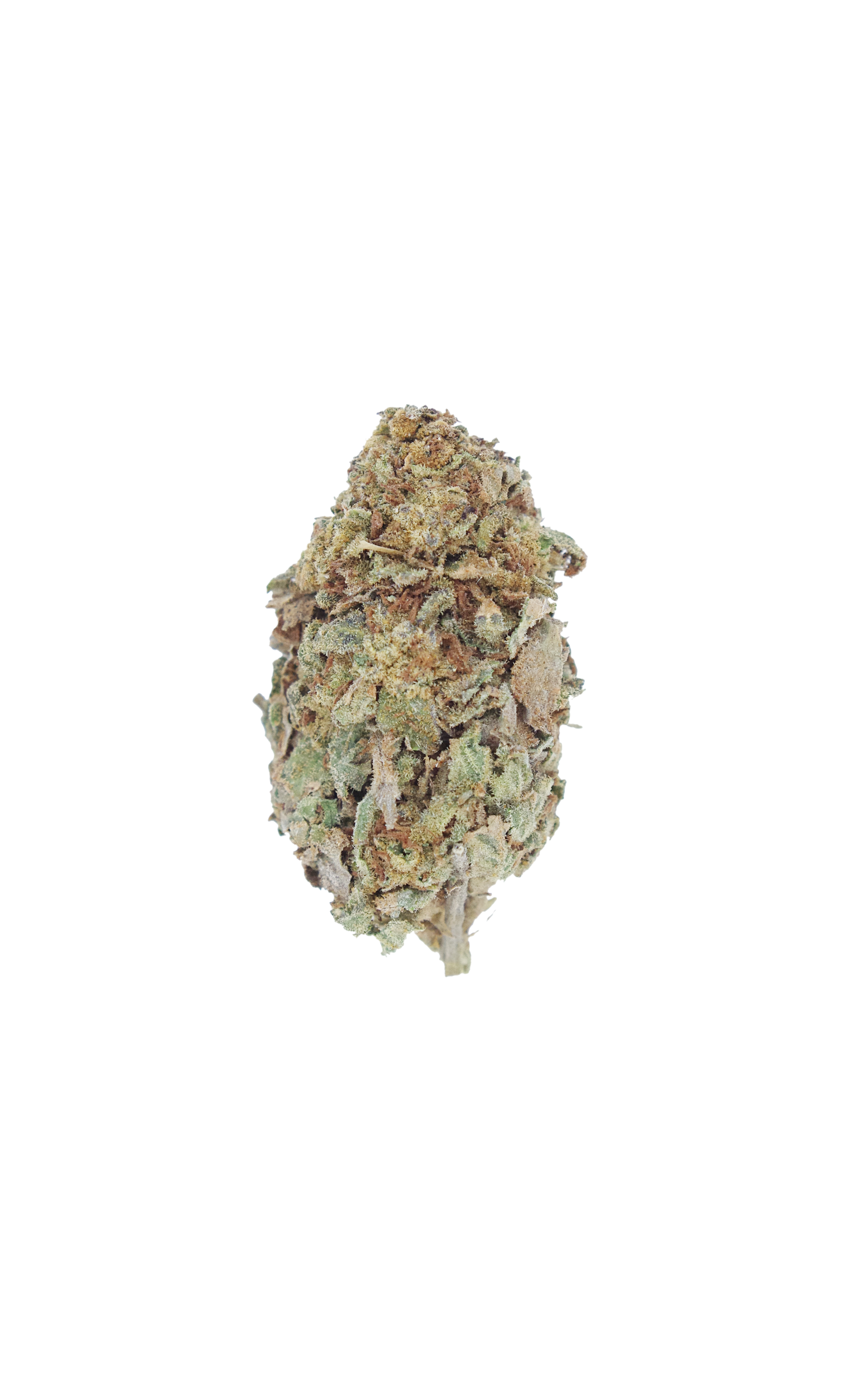 Heat Wave Hybrid Cannabis Flower Heat Wave Hybrid Cannabis Flower