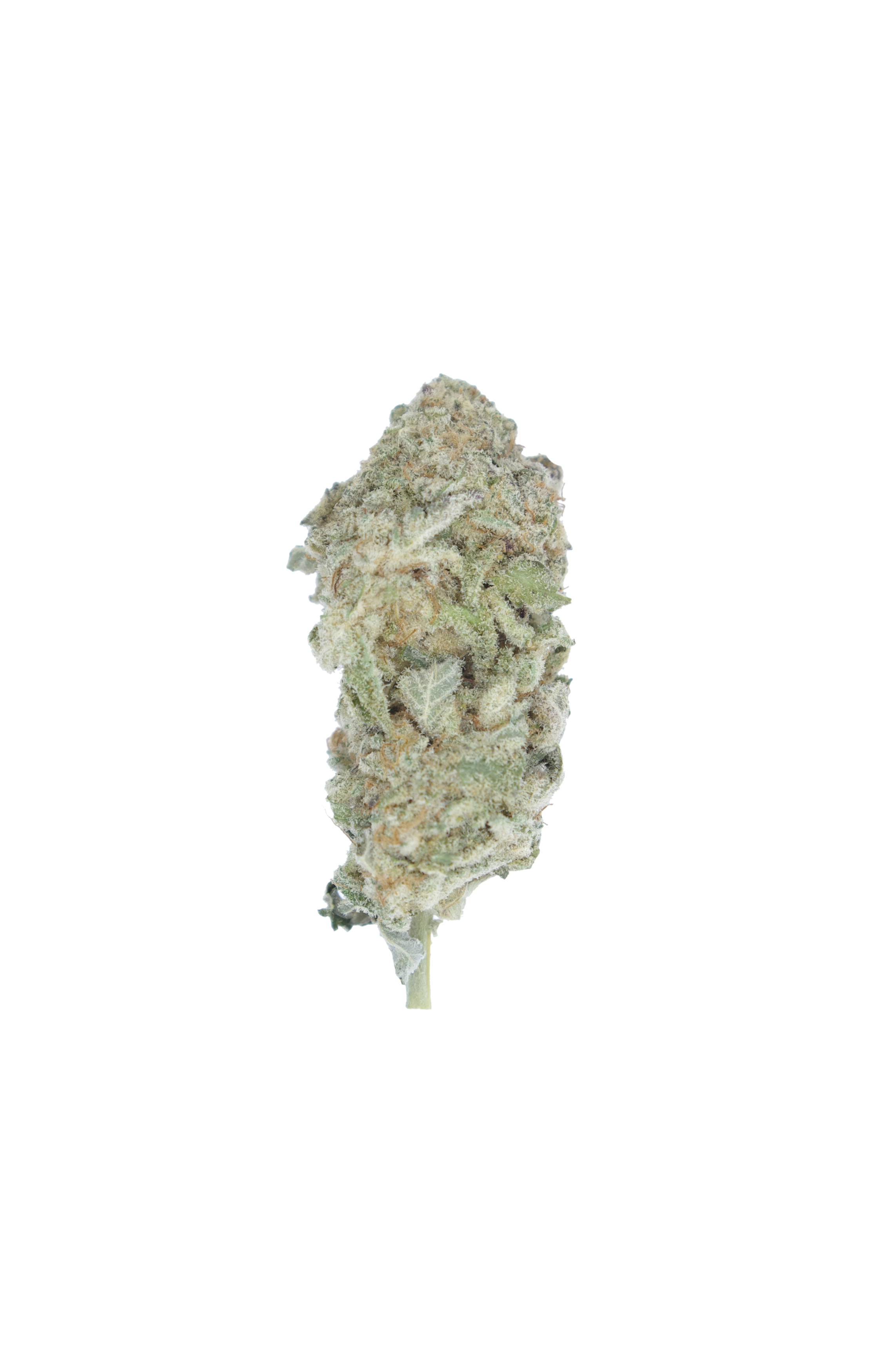Mac Daddy Hybrid Cannabis Flower Mac Daddy Hybrid Cannabis Flower