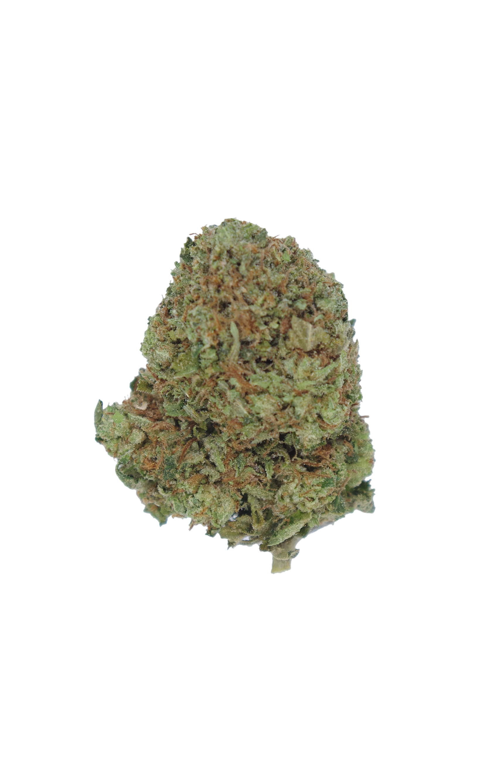 Master Kush Indica Cannabis Flower Master Kush Indica Cannabis Flower