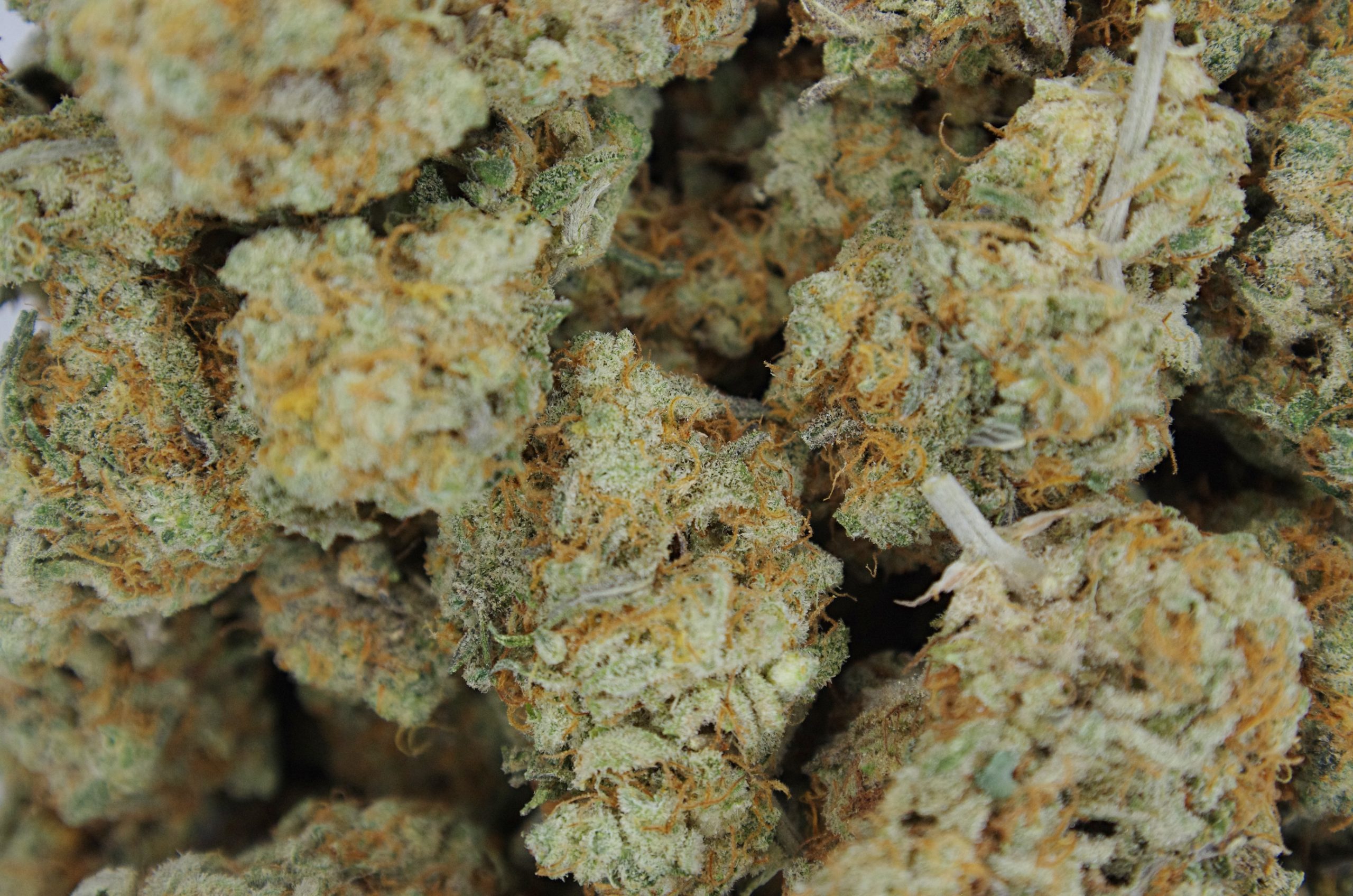 Paris OG Hybrid Anxiety Reduction Paris OG Hybrid Anxiety Reduction