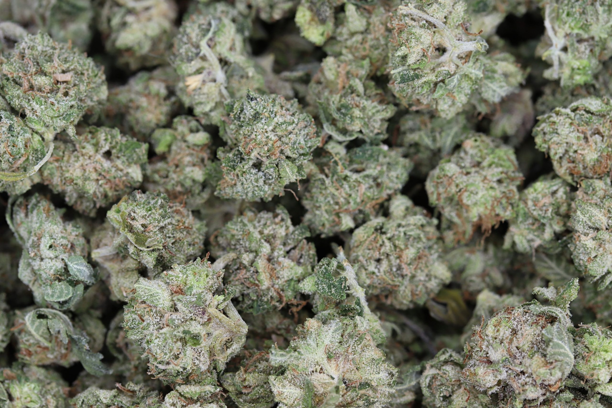 Pre-98 Bubba Smalls Indica anxiety Pre-98 Bubba Smalls Indica anxiety