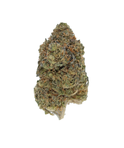 buy black cherry punch online