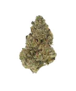 buy blue city diesel online