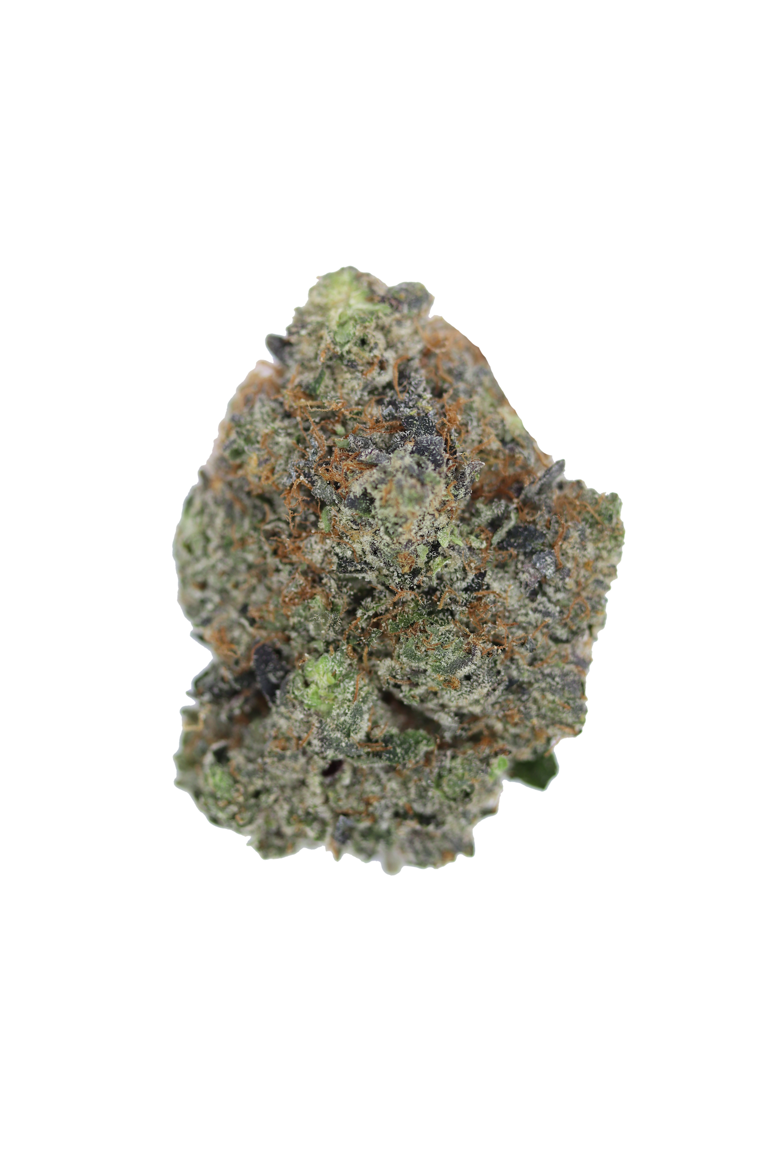Gas Militia – Bluefin Tuna All Strains anxiety Gas Militia – Bluefin Tuna All Strains anxiety
