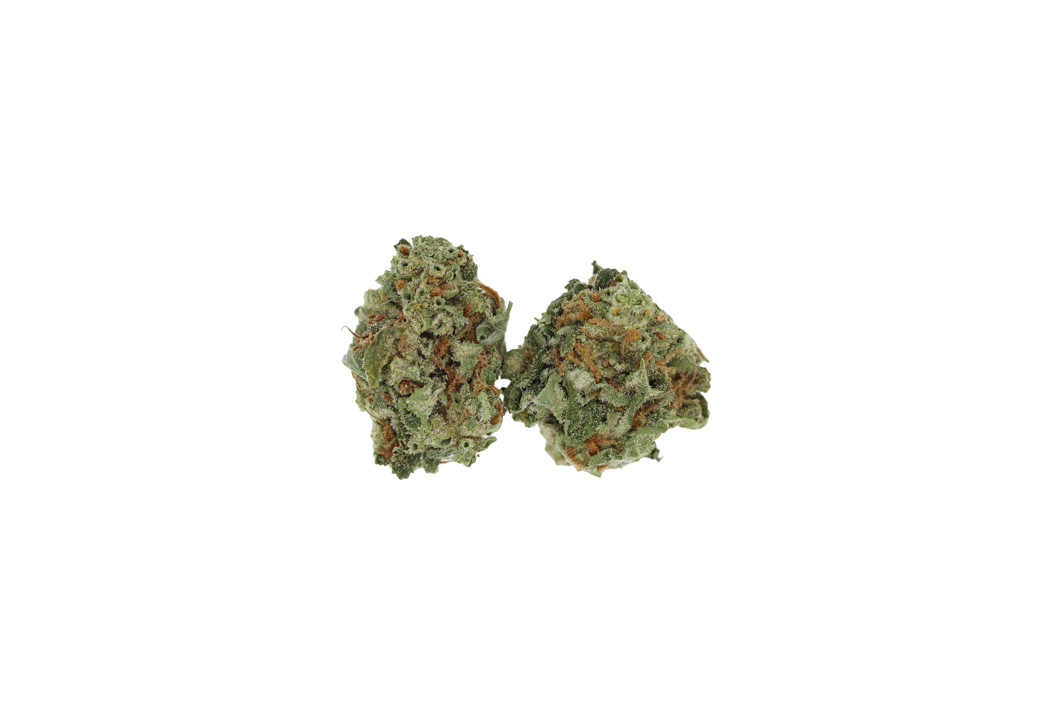 Cake Crasher Smalls (1/2lb) Sativa Cake Crasher Smalls (1/2lb) Sativa